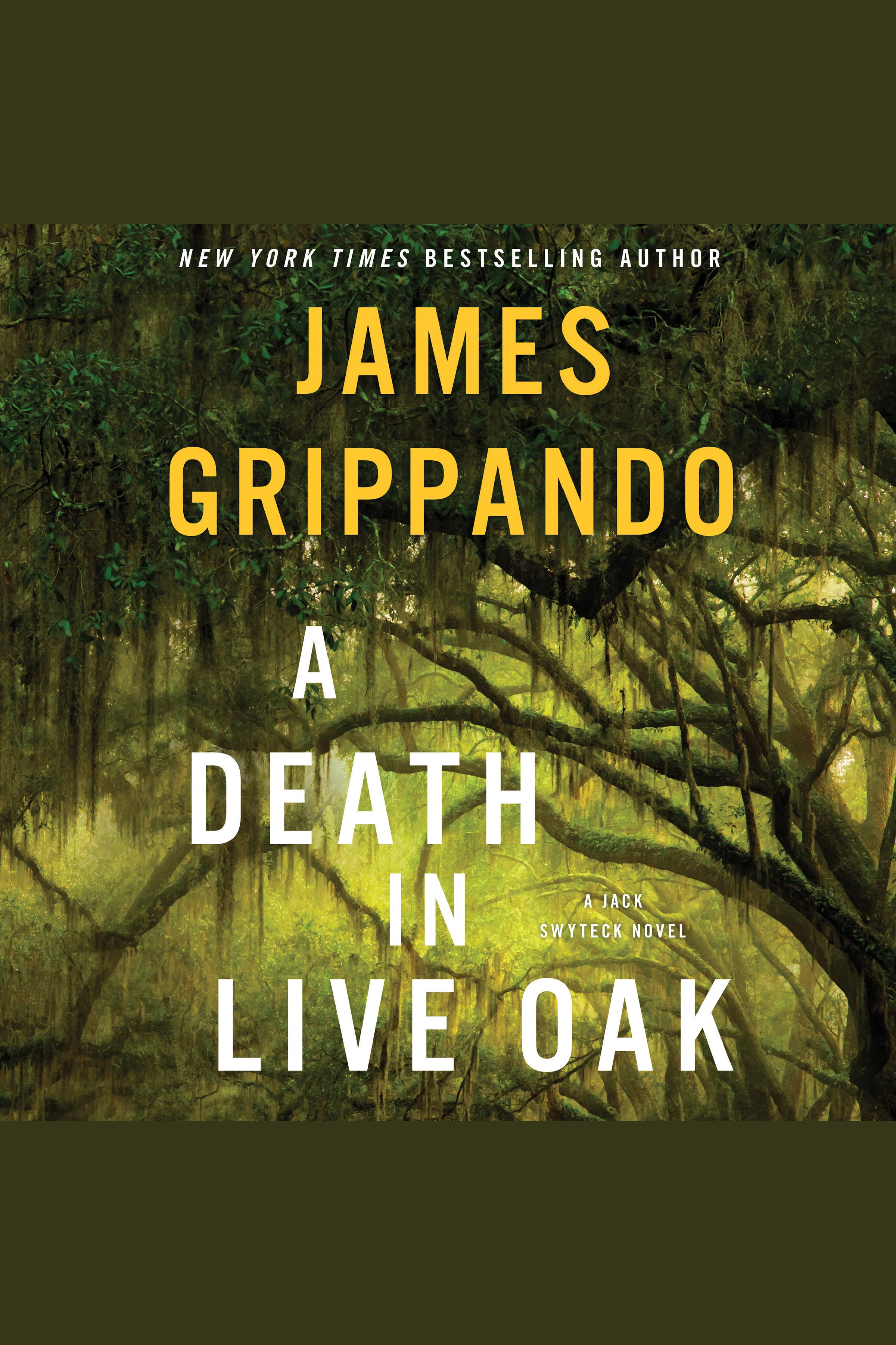 A death in Live Oak A Jack Swyteck Novel cover image