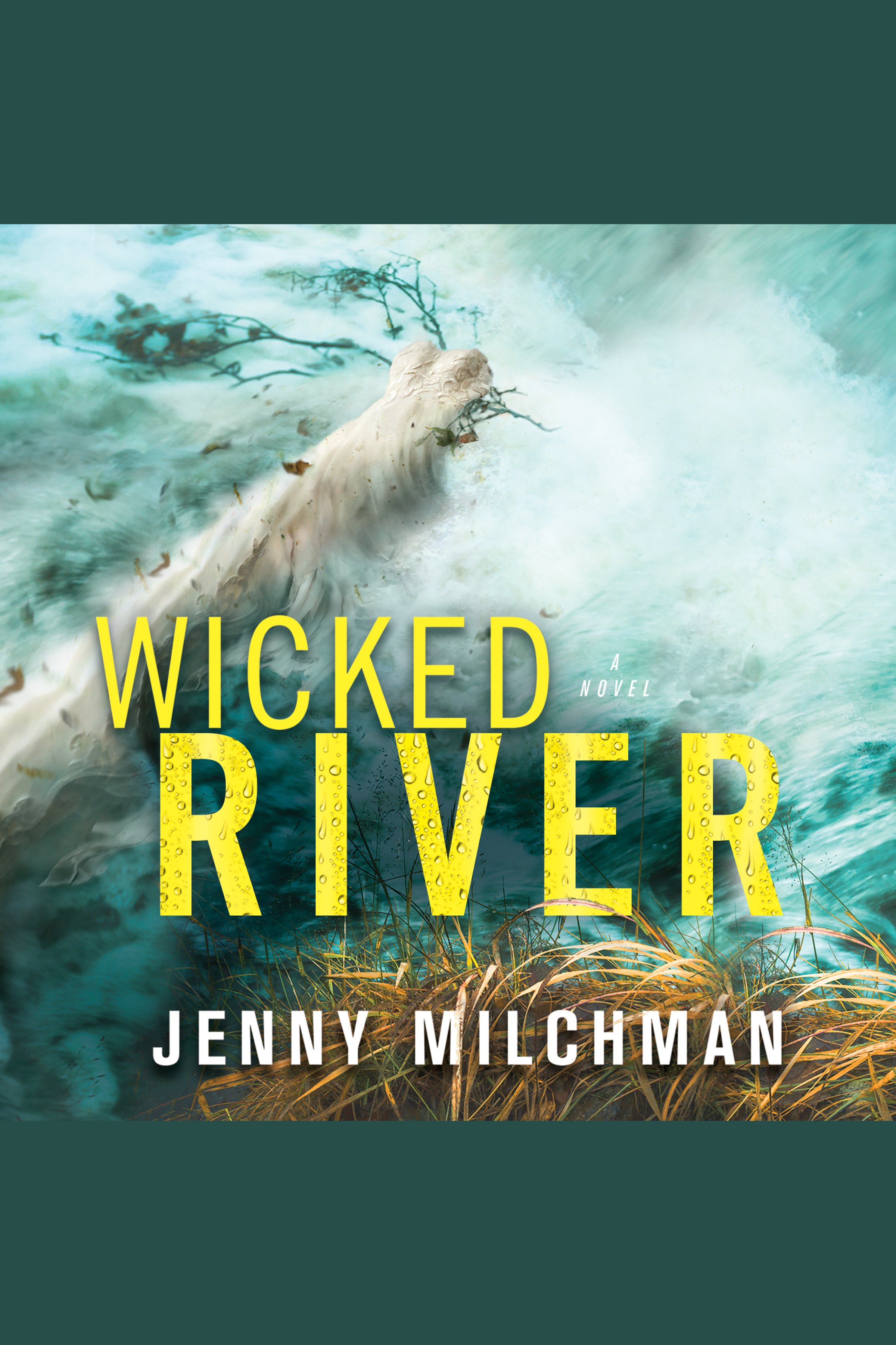 Umschlagbild für Wicked River [electronic resource] : A Novel