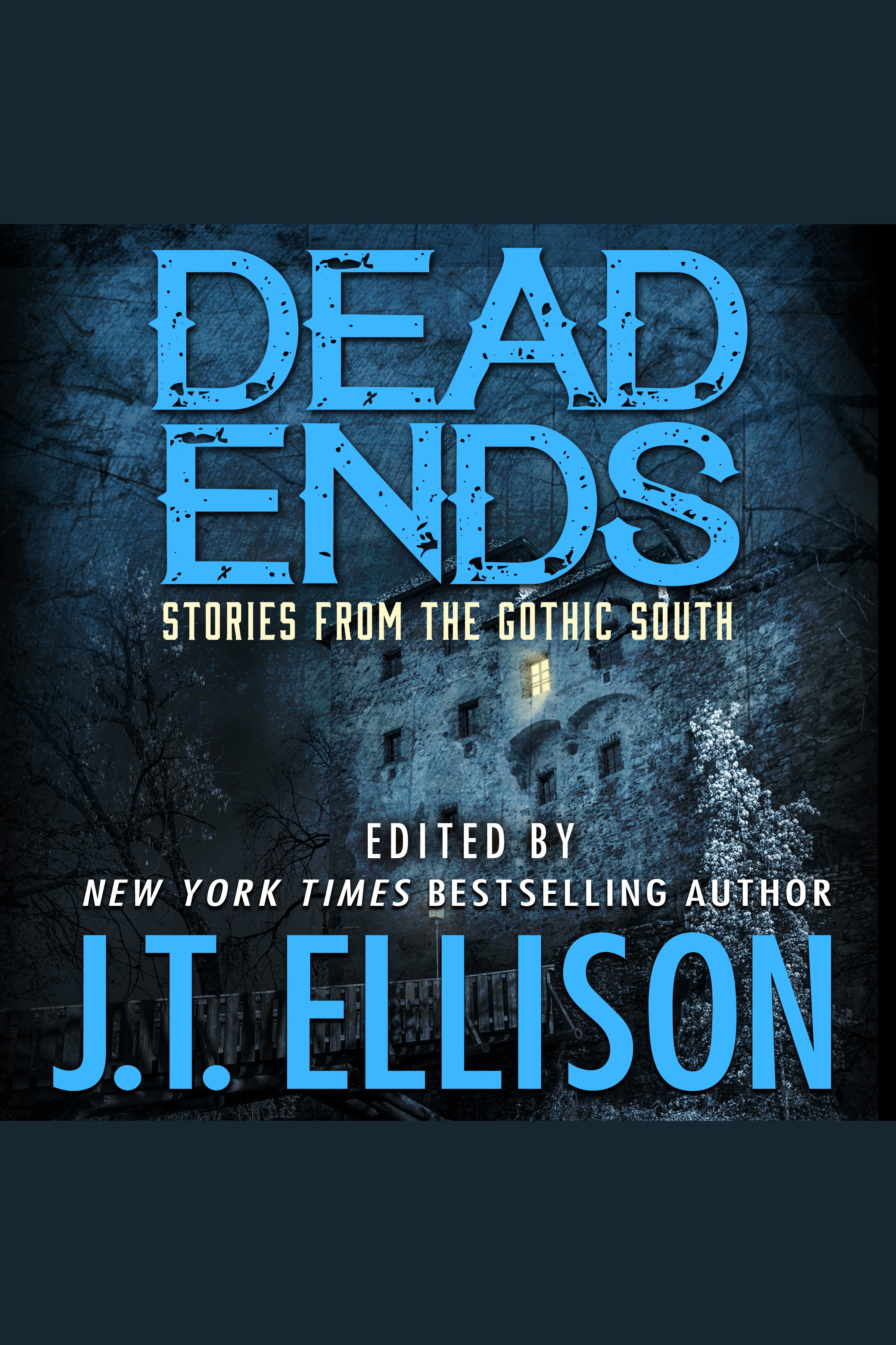 Imagen de portada para Dead Ends [electronic resource] : Stories from the Gothic South
