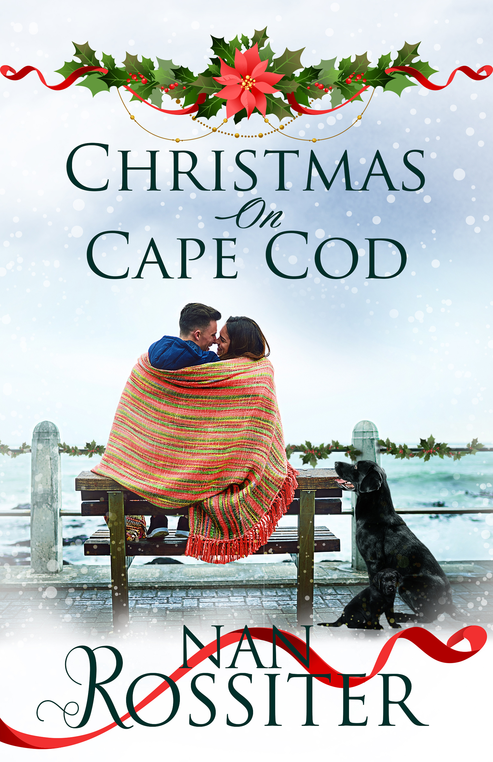 Image de couverture de Christmas on Cape Cod [electronic resource] :