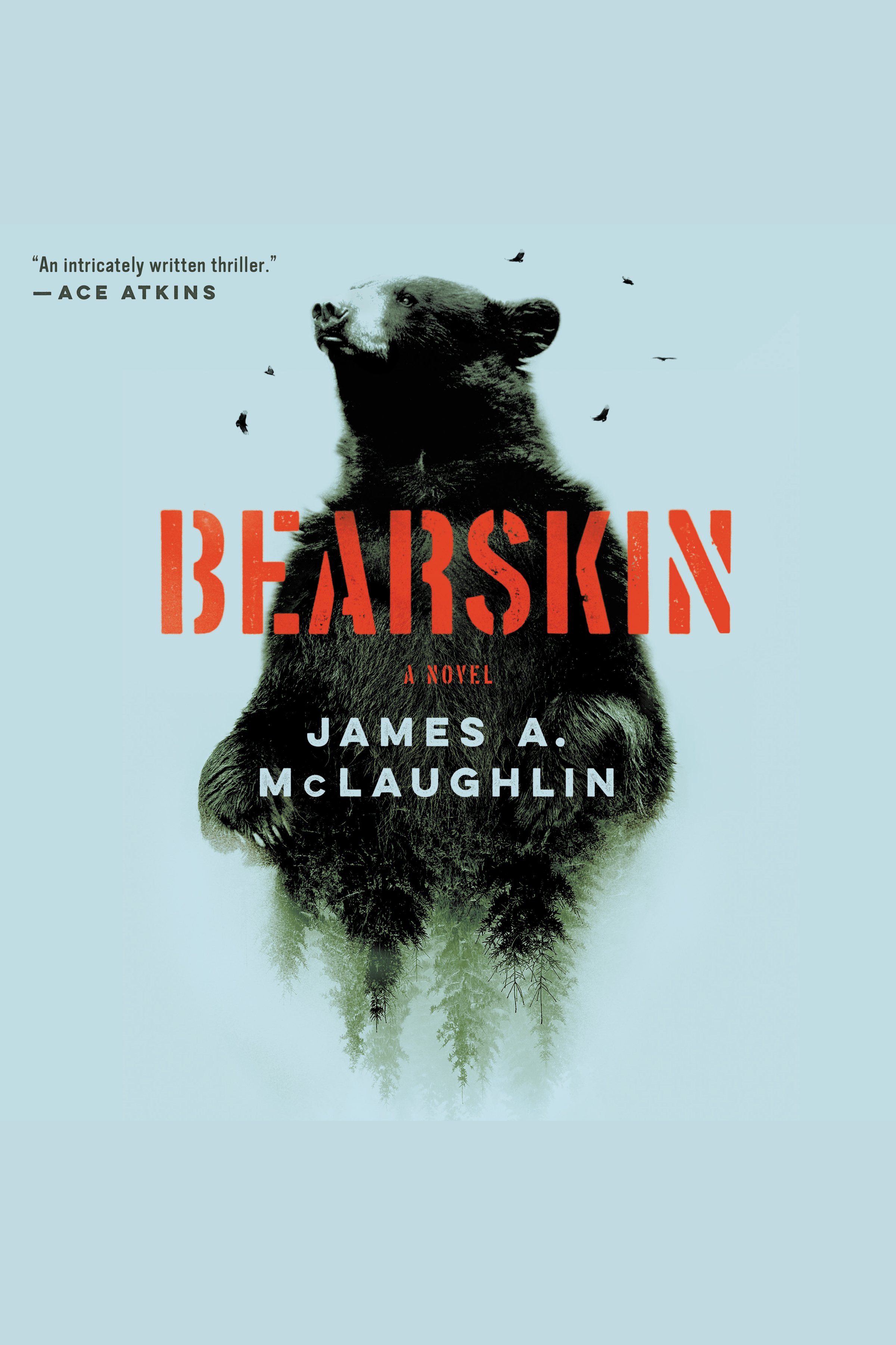 Cover image for Bearskin [electronic resource] : A Novel