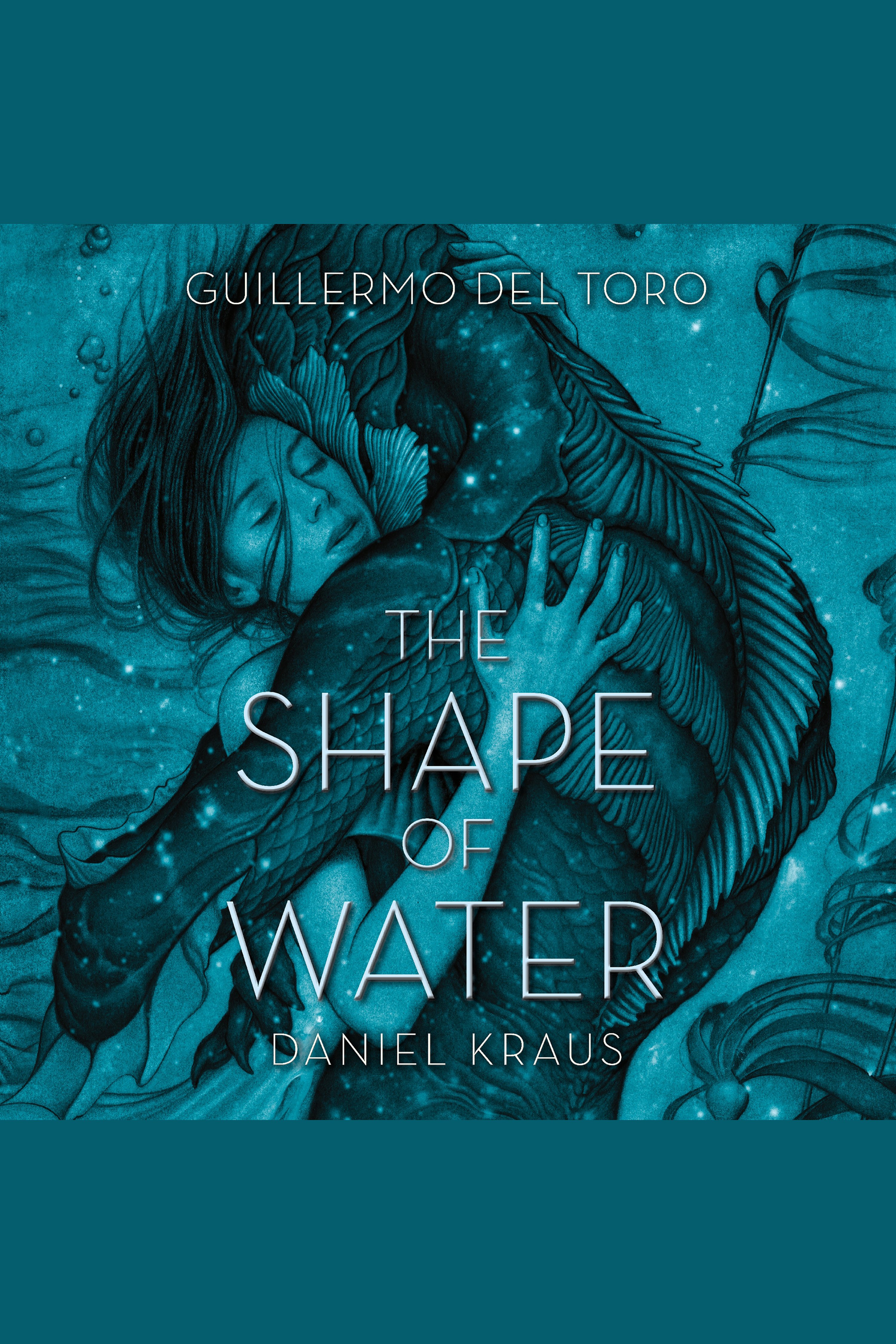 Image de couverture de The Shape of Water [electronic resource] :