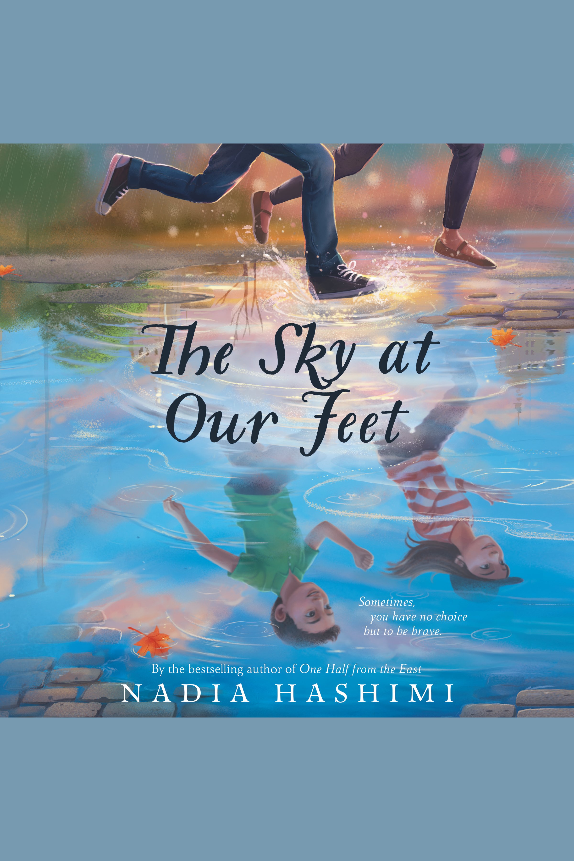 The sky at our feet cover image