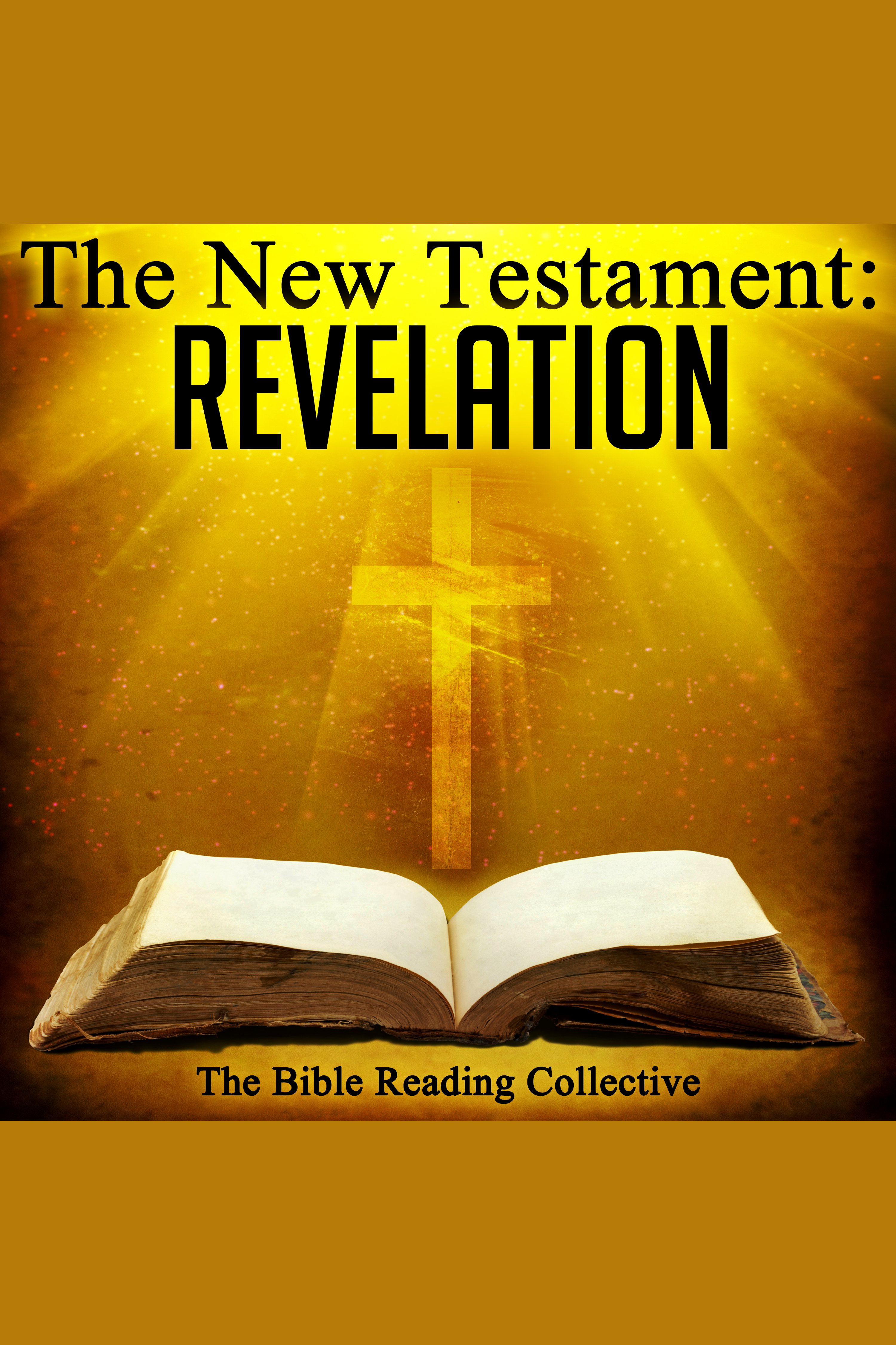 The New Testament: Revelation cover image