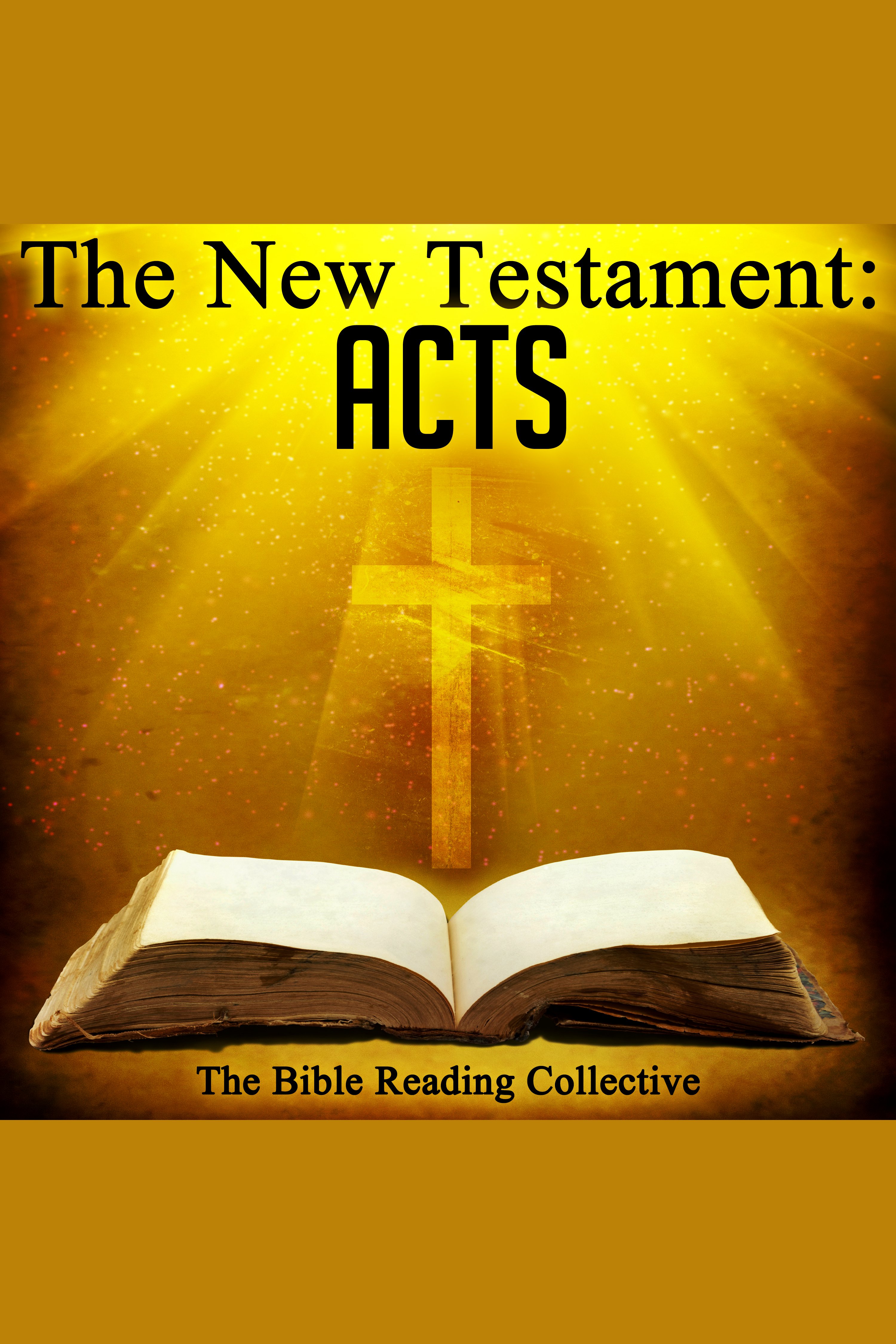 The New Testament: Acts cover image