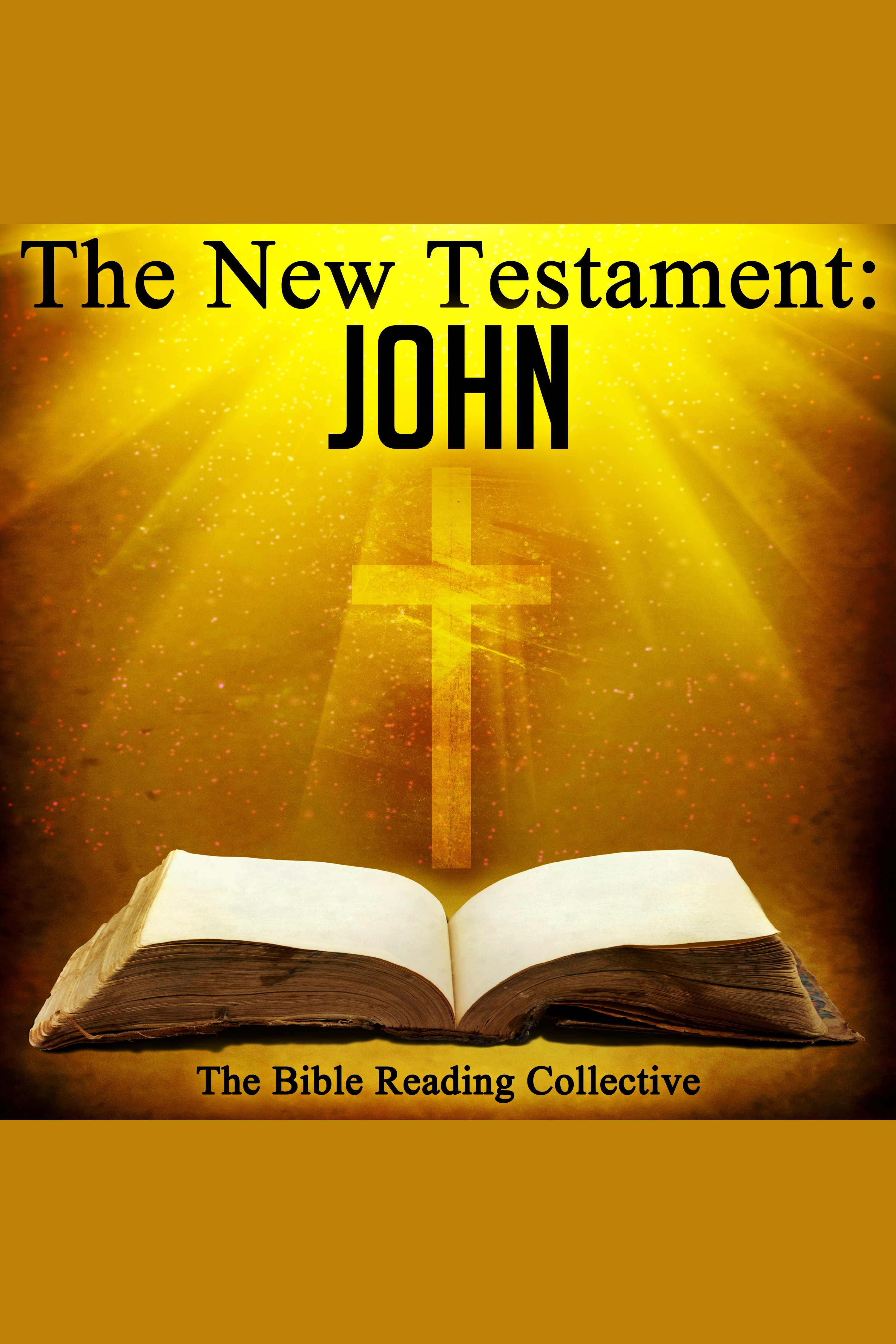 The New Testament: John cover image