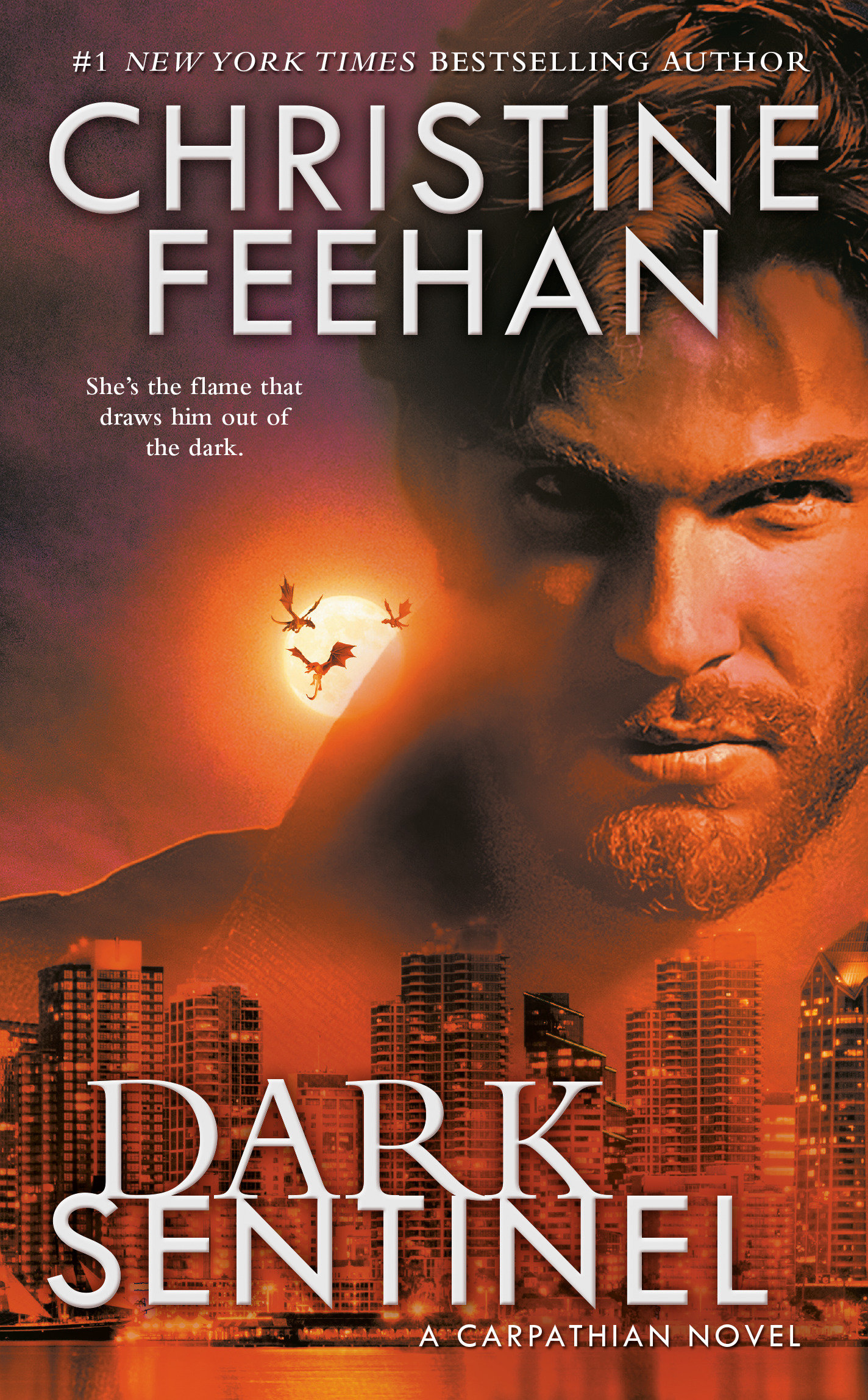 Dark sentinel cover image