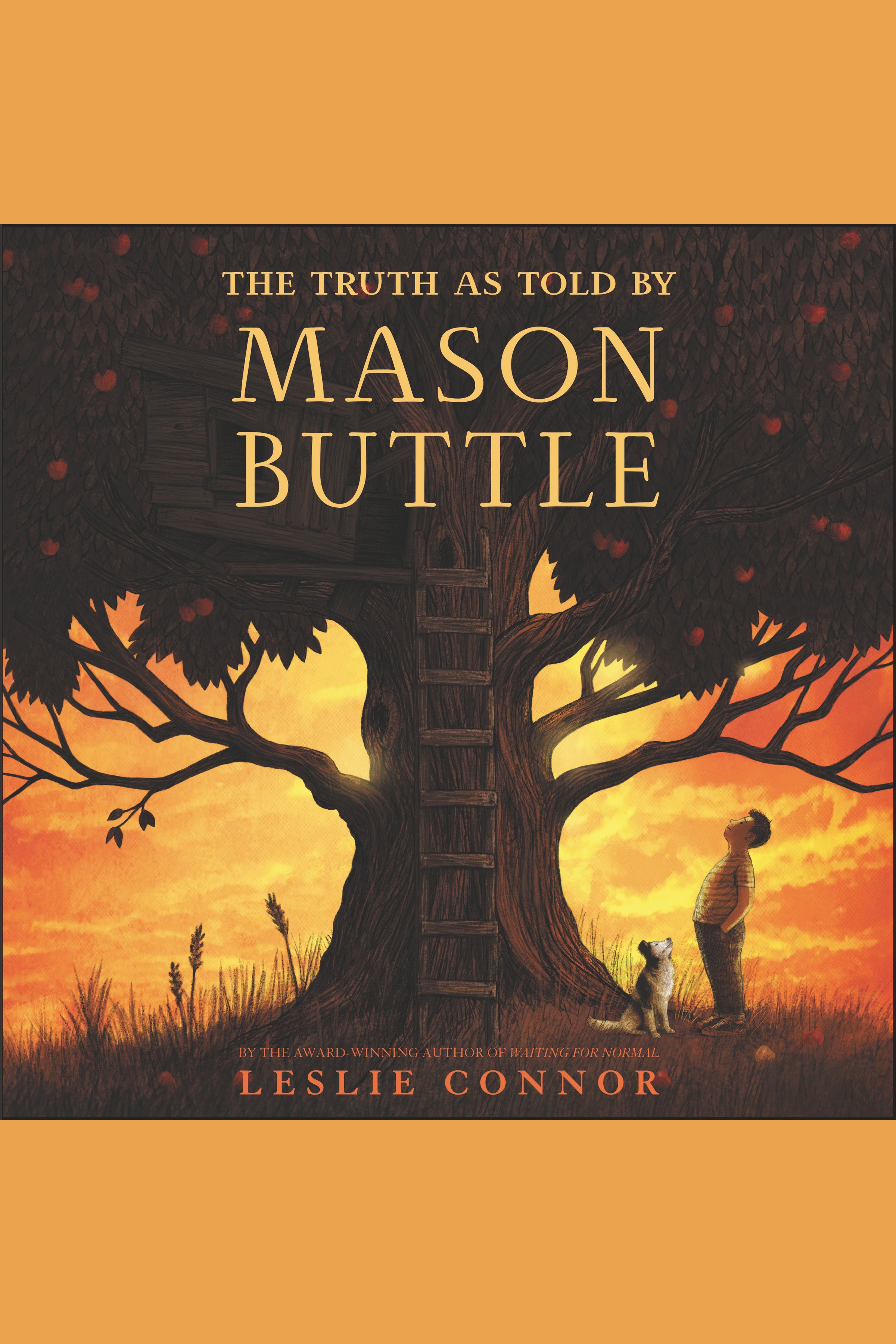 The truth as told by Mason Buttle cover image
