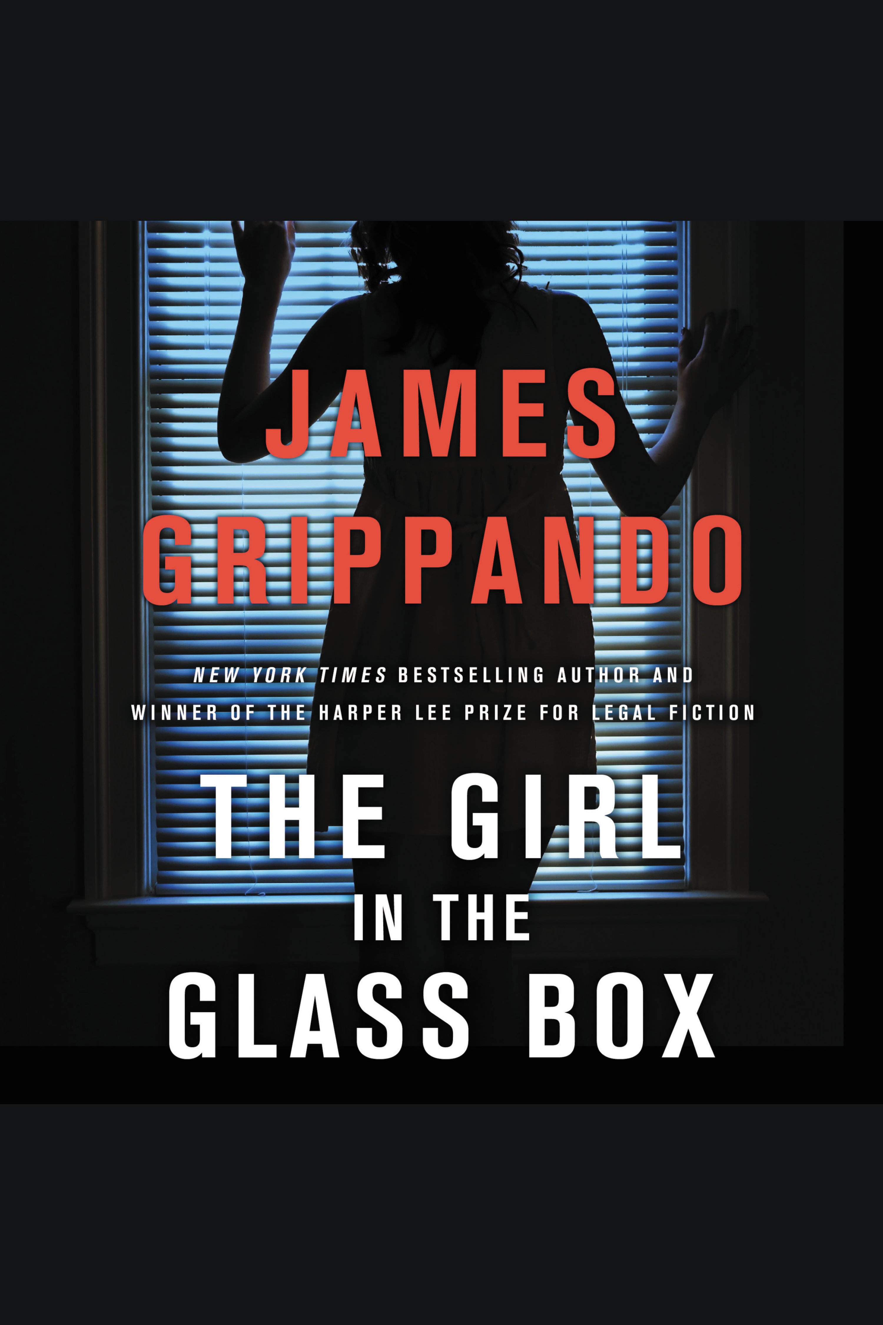 Cover image for The Girl in the Glass Box [electronic resource] : A Jack Swyteck Novel