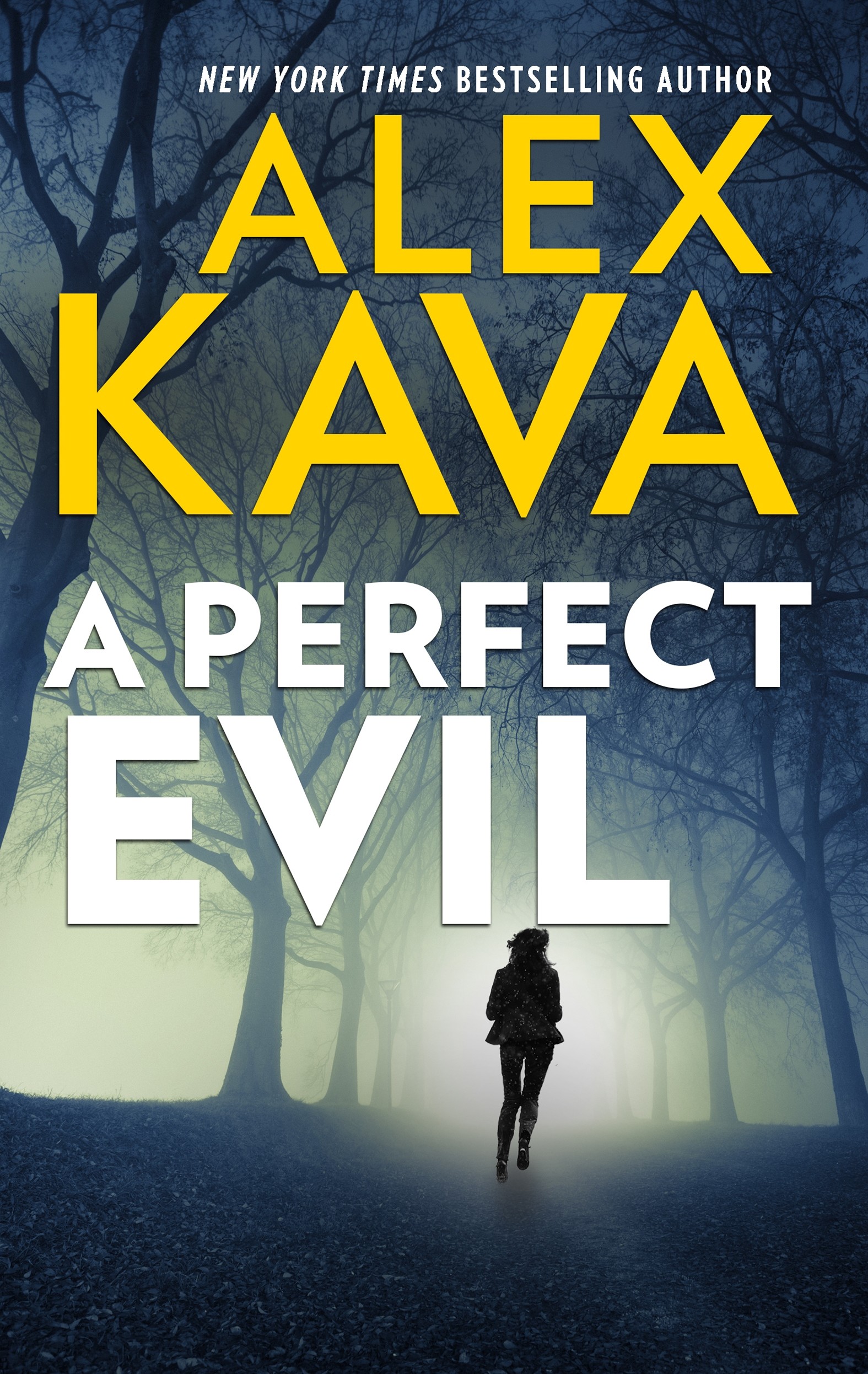 Image de couverture de A Perfect Evil [electronic resource] :