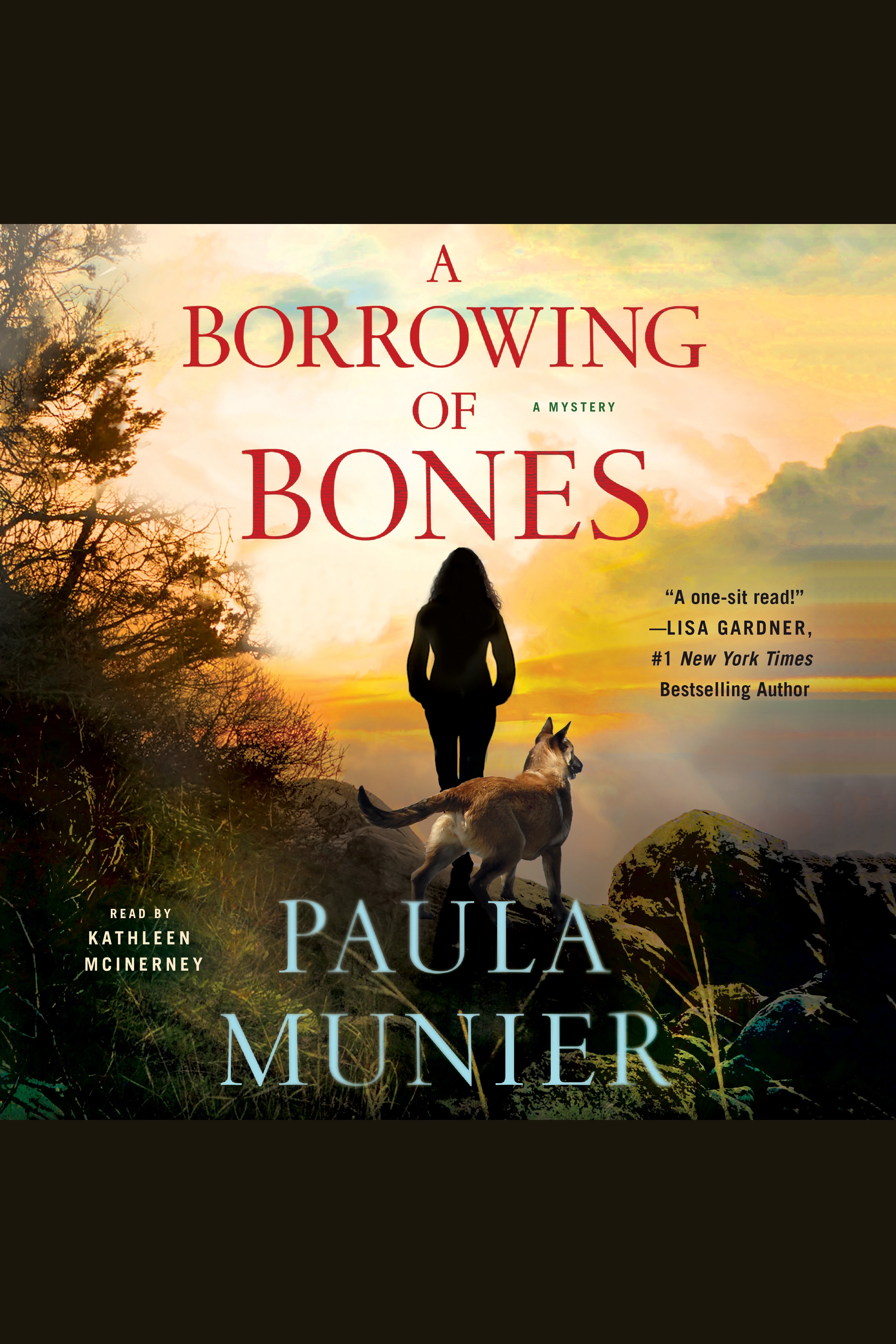 Image de couverture de Borrowing of Bones, A [electronic resource] : A Mercy Carr Mystery