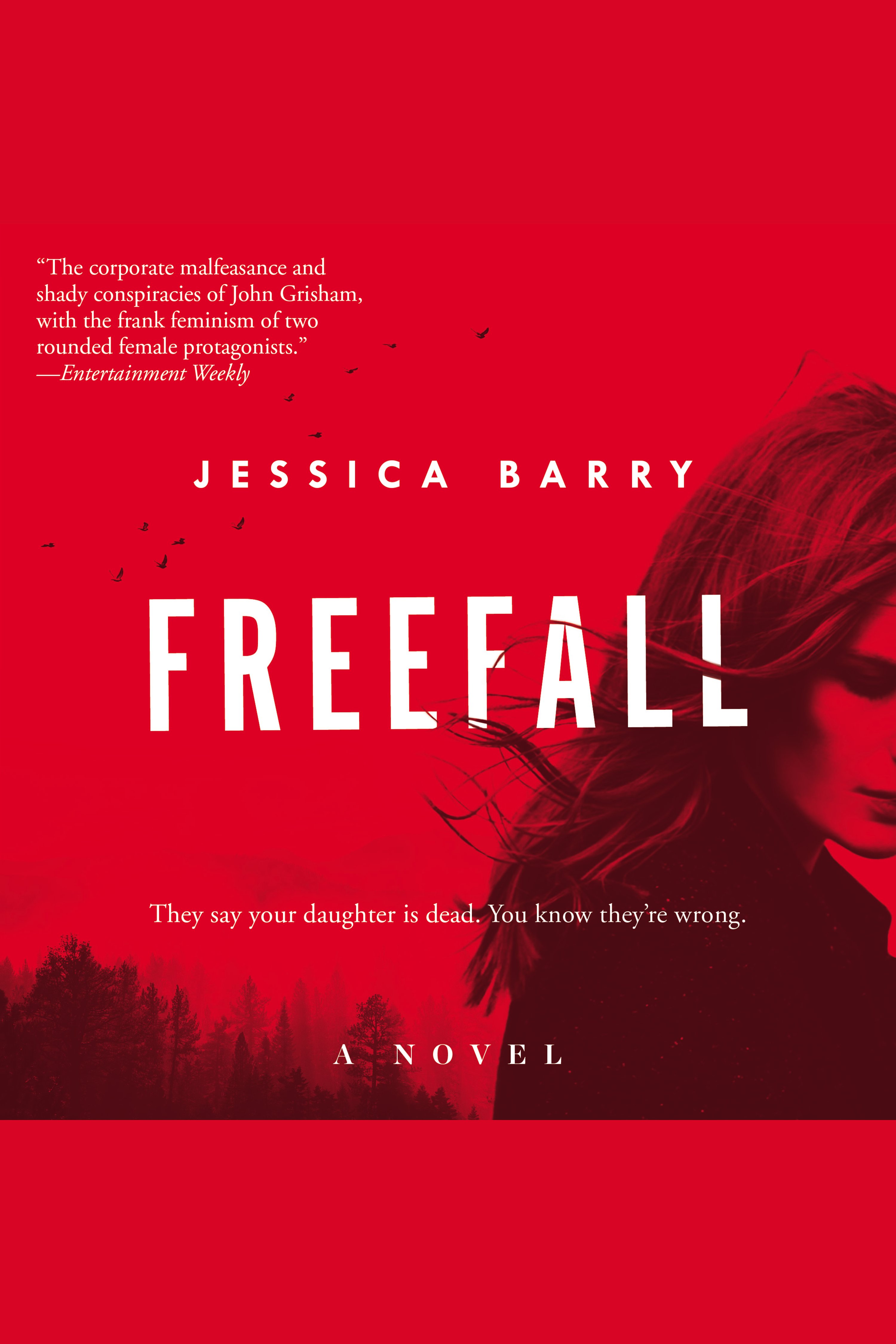 Cover image for Freefall [electronic resource] : A Novel