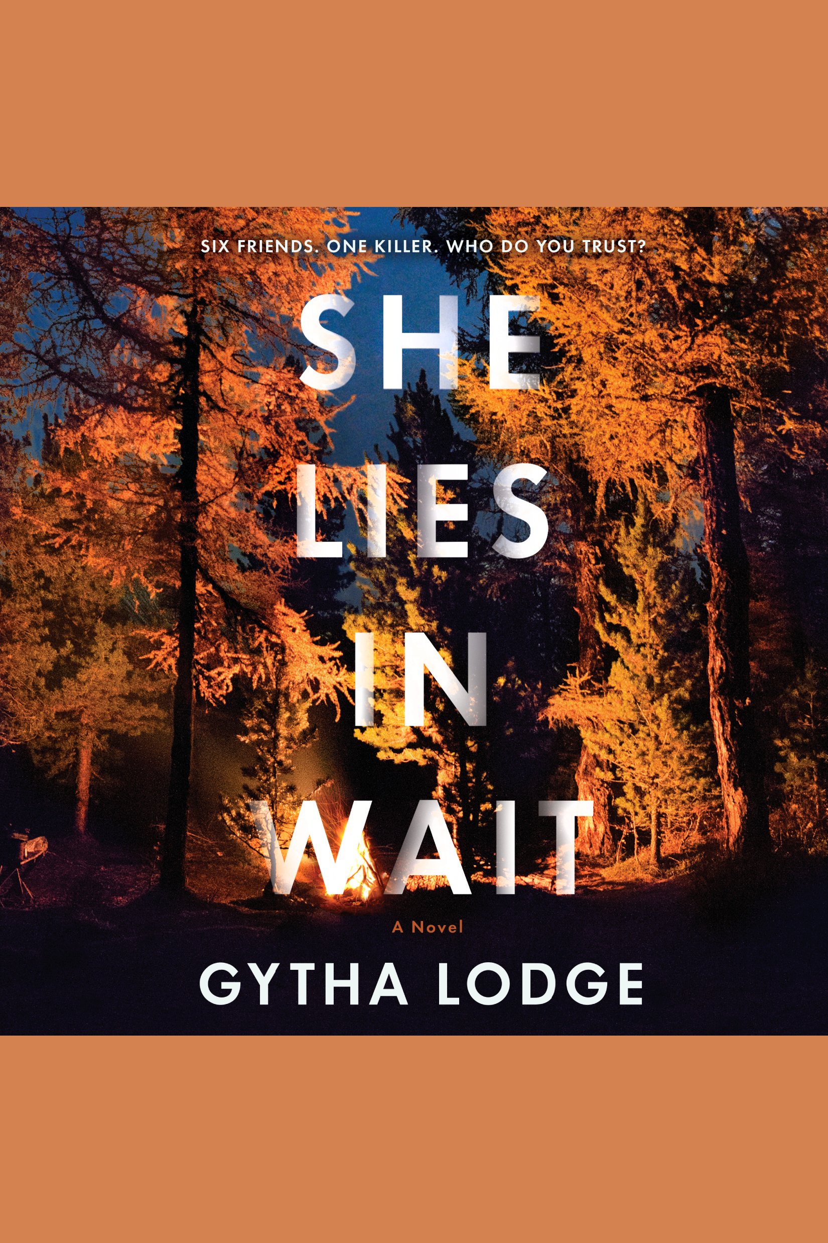 Umschlagbild für She Lies in Wait [electronic resource] : A Novel