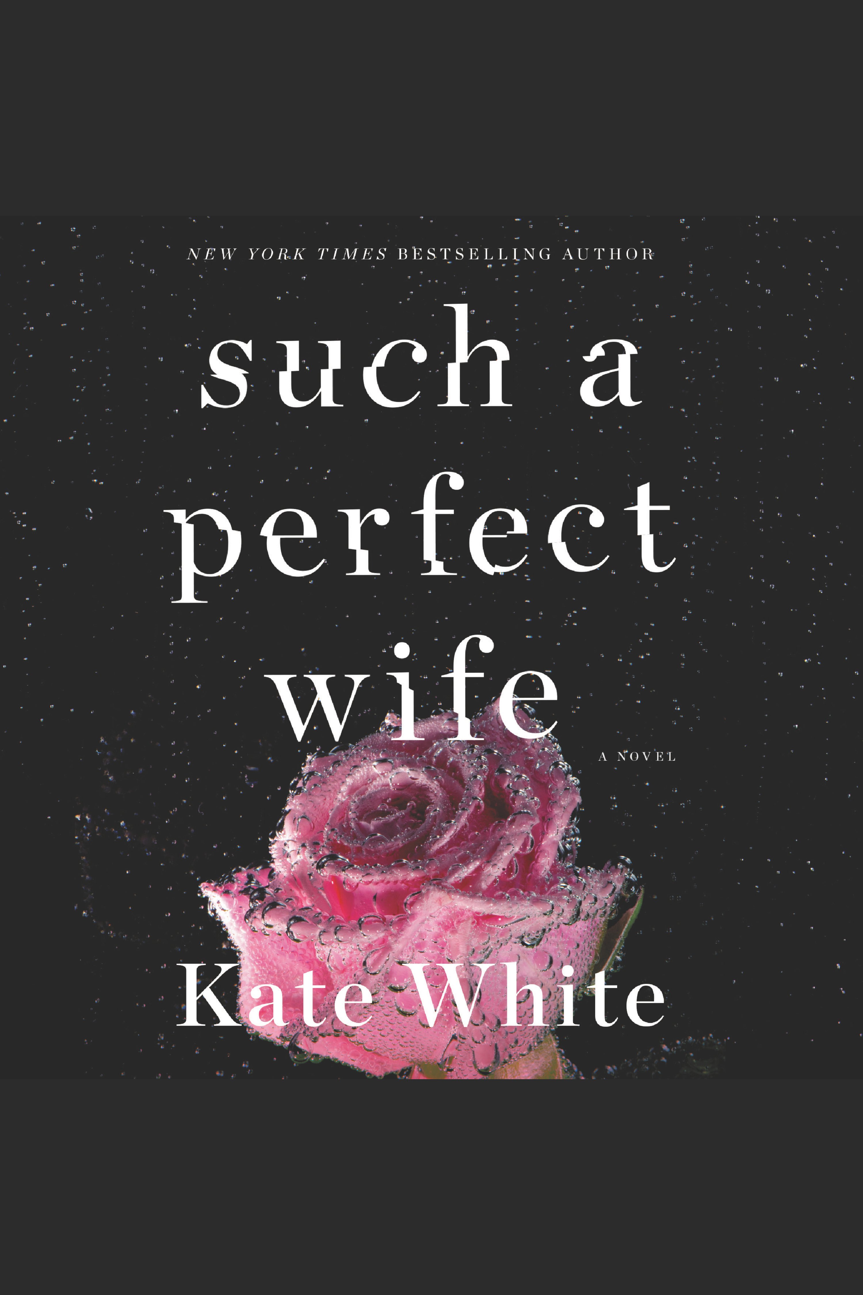 Imagen de portada para Such a Perfect Wife [electronic resource] : A Novel