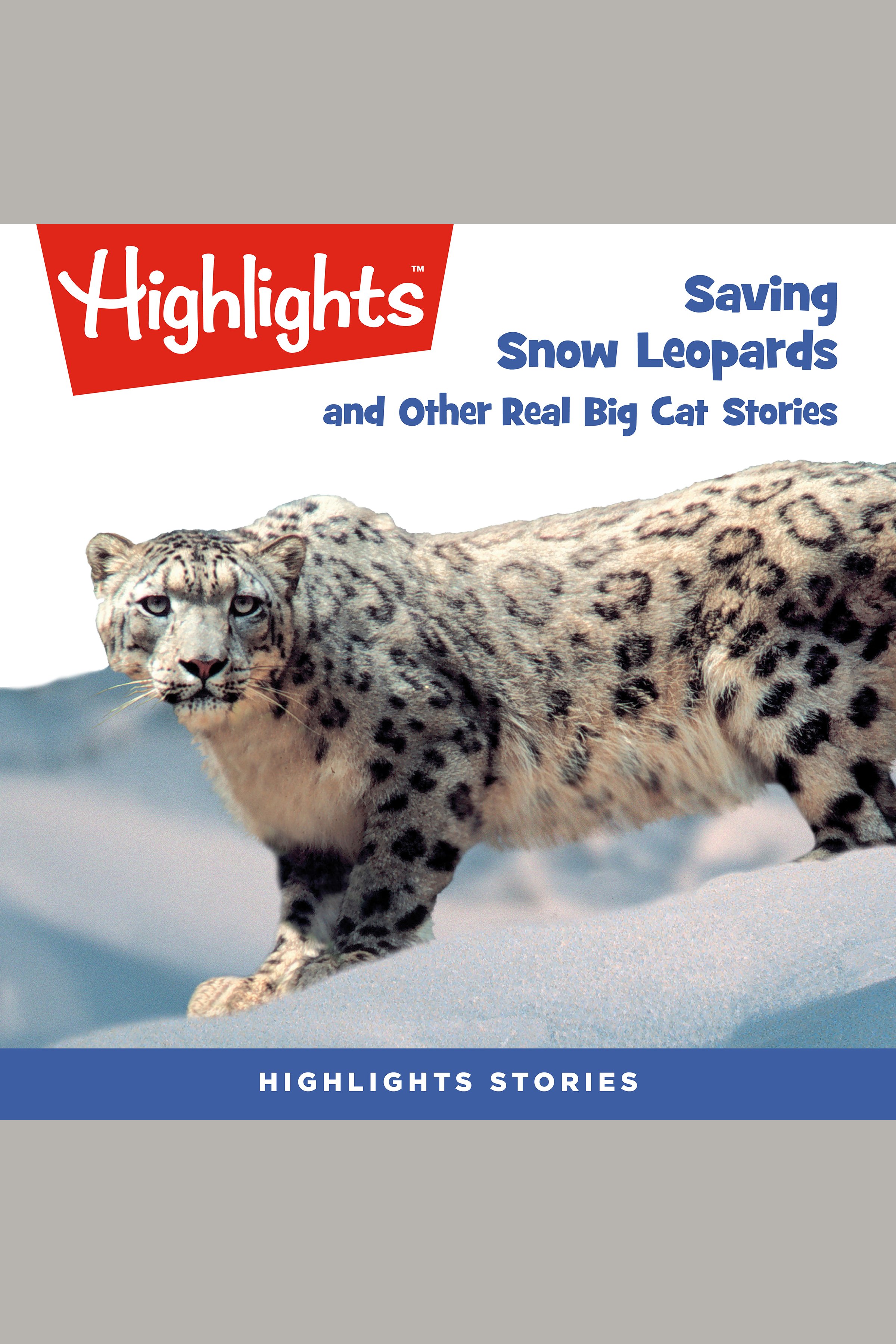 Saving Snow Leopards and Other Real Big Cat Stories