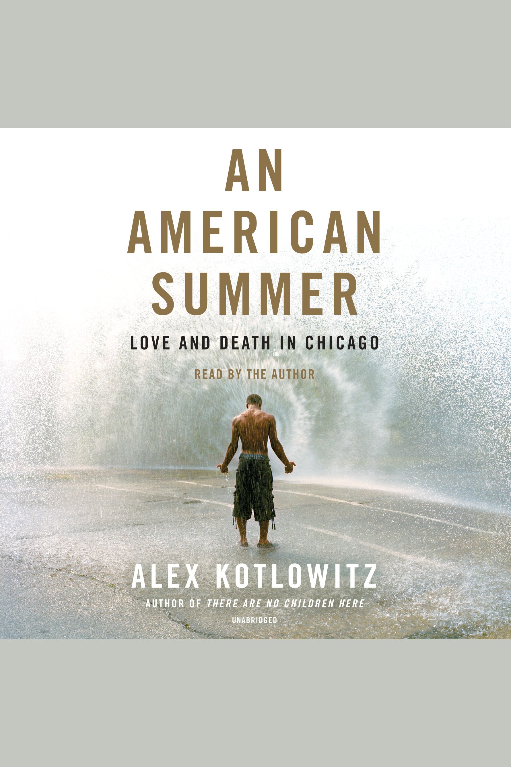 An American summer love and death in Chicago cover image