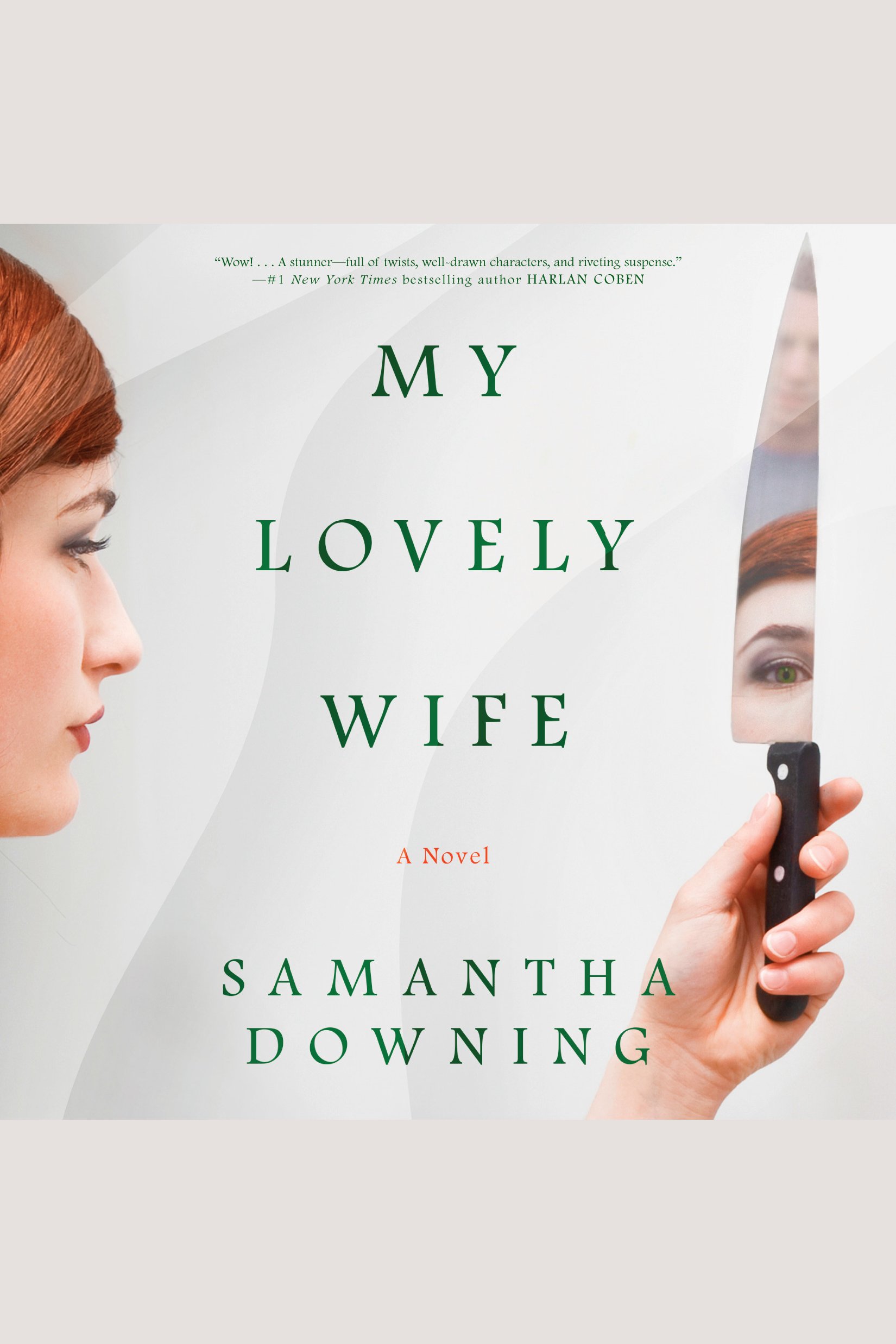 Cover image for My Lovely Wife [electronic resource] : A Novel