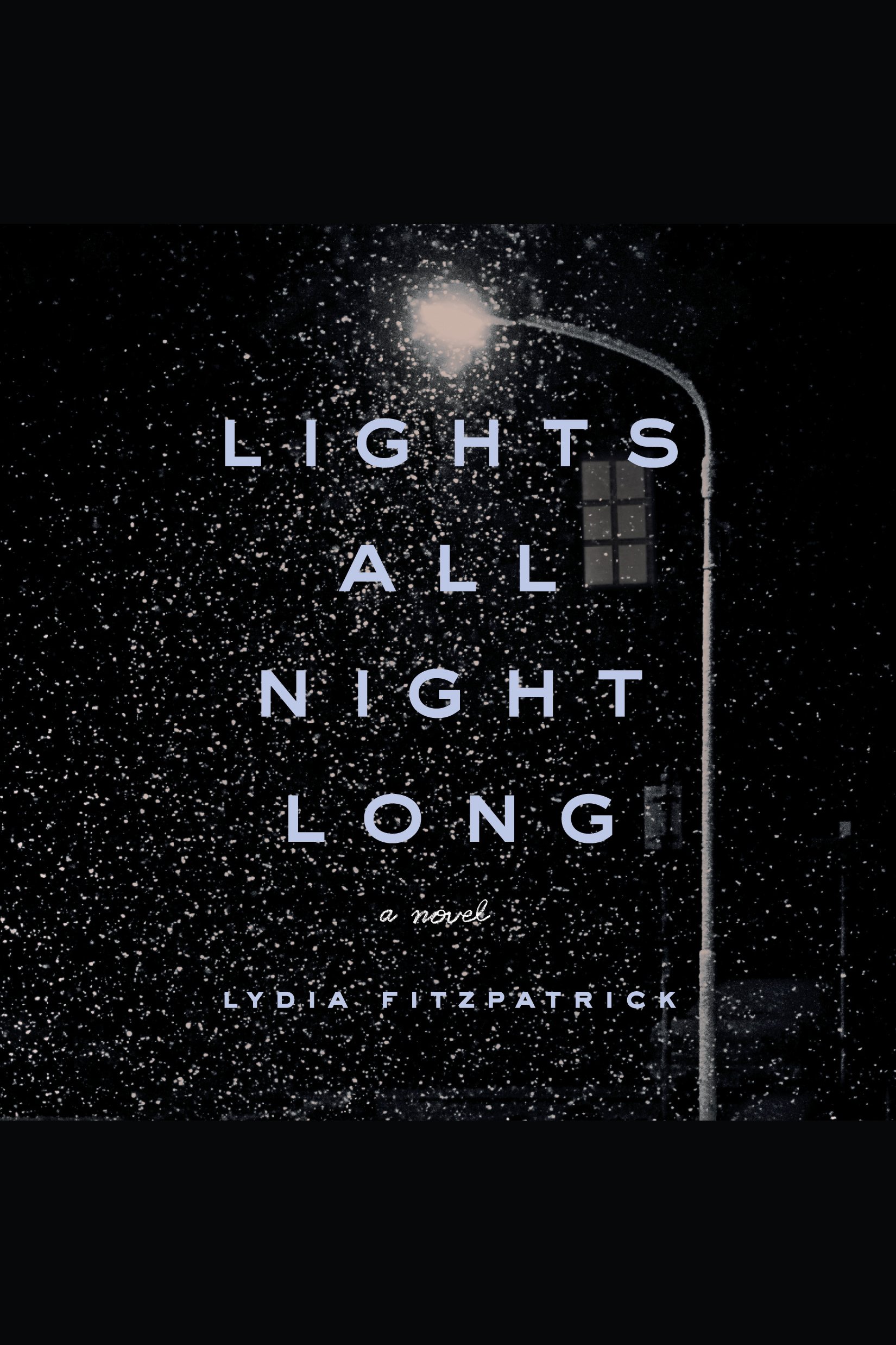 Image de couverture de Lights All Night Long [electronic resource] : A Novel