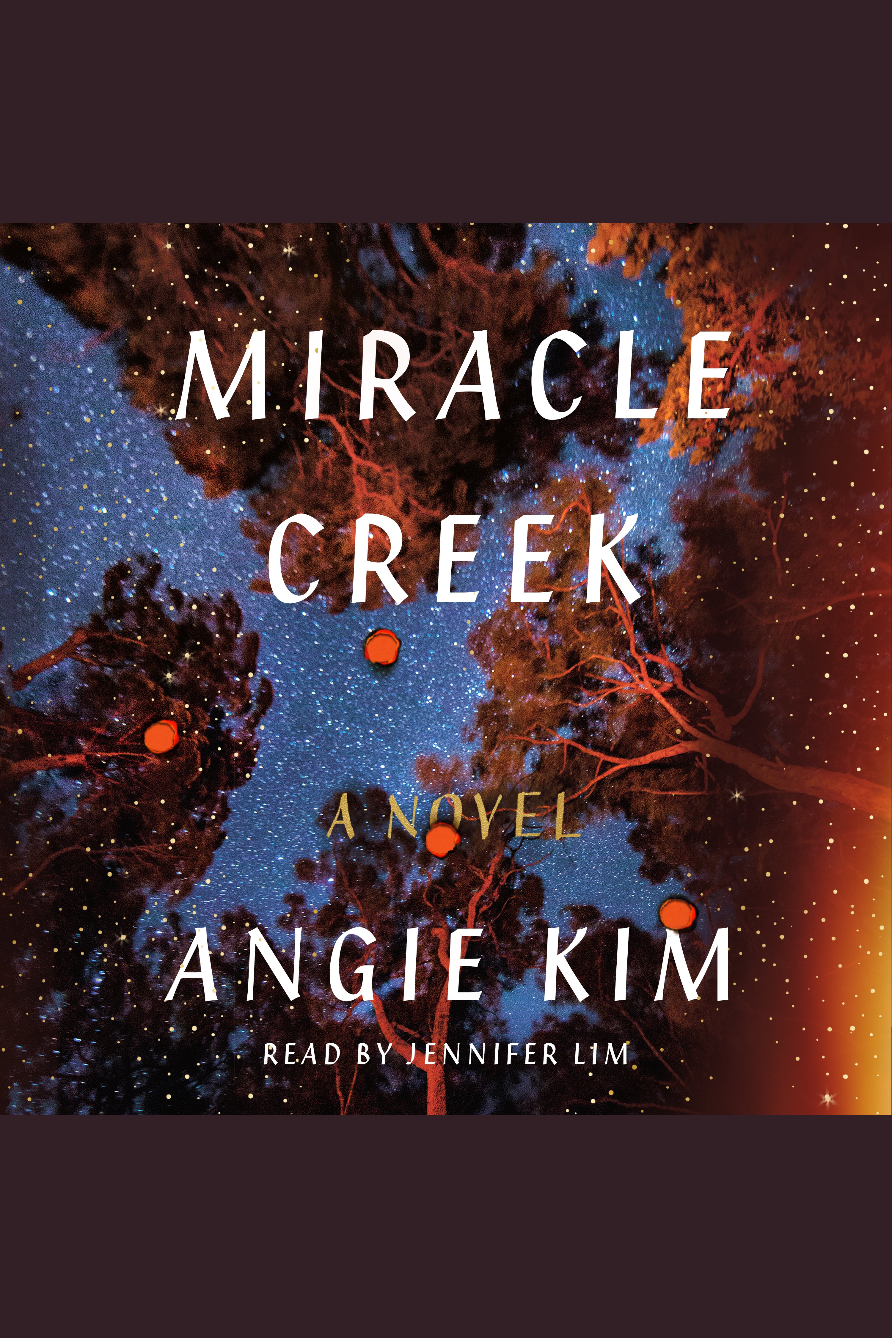 Cover image for Miracle Creek [electronic resource] : A Novel
