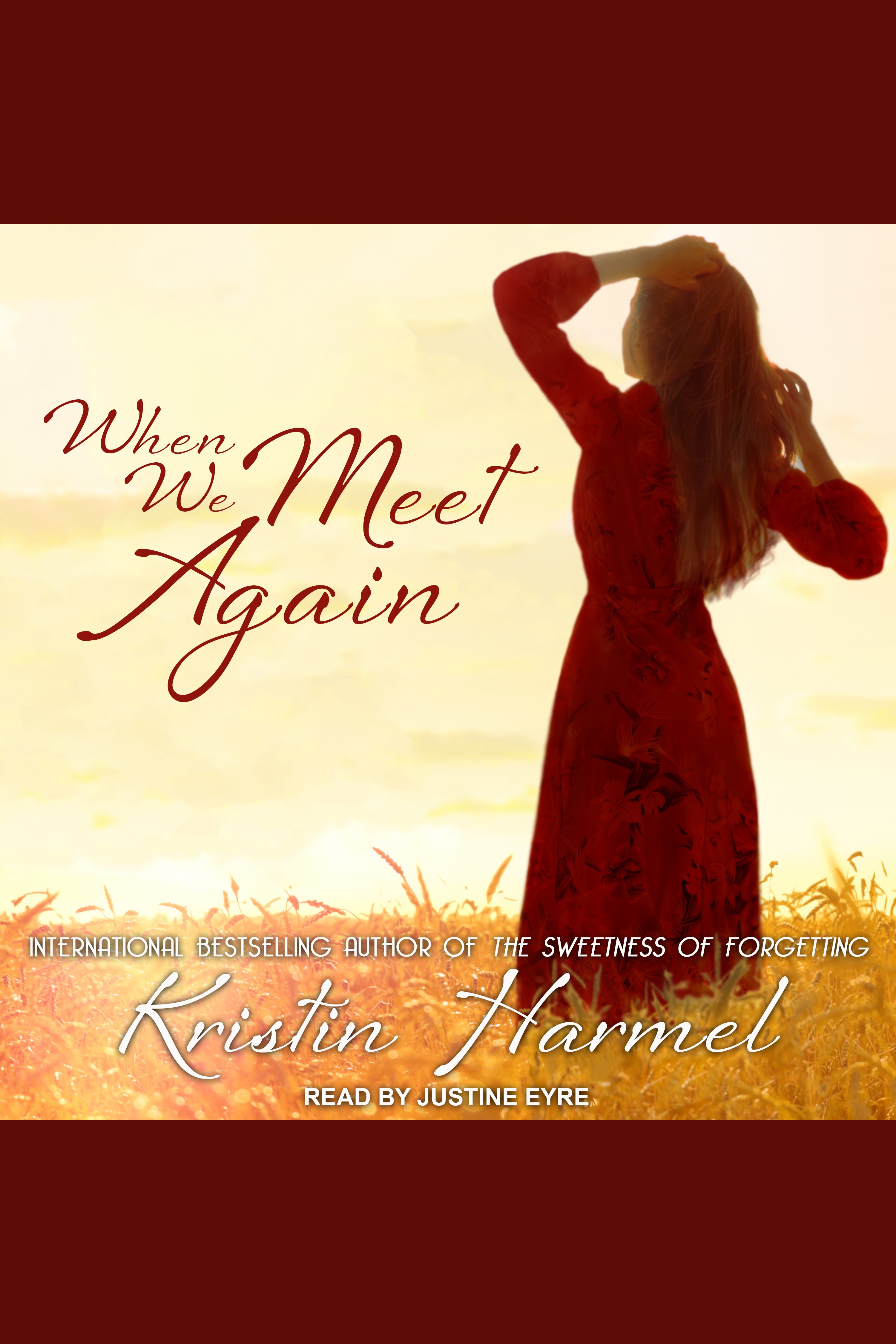 Cover image for When We Meet Again [electronic resource] :
