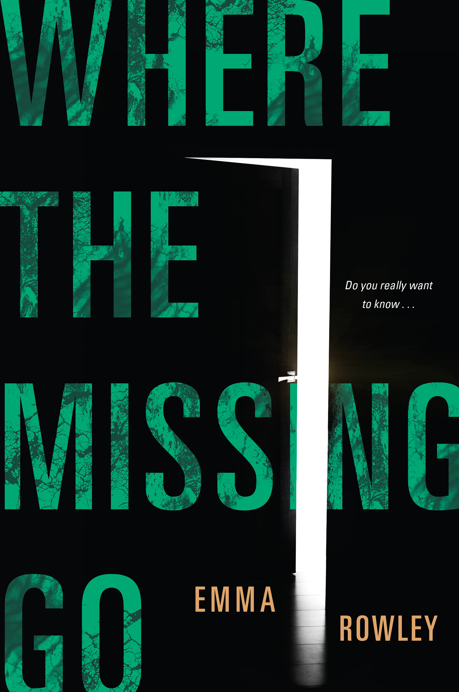 Imagen de portada para Where the Missing Go [electronic resource] :