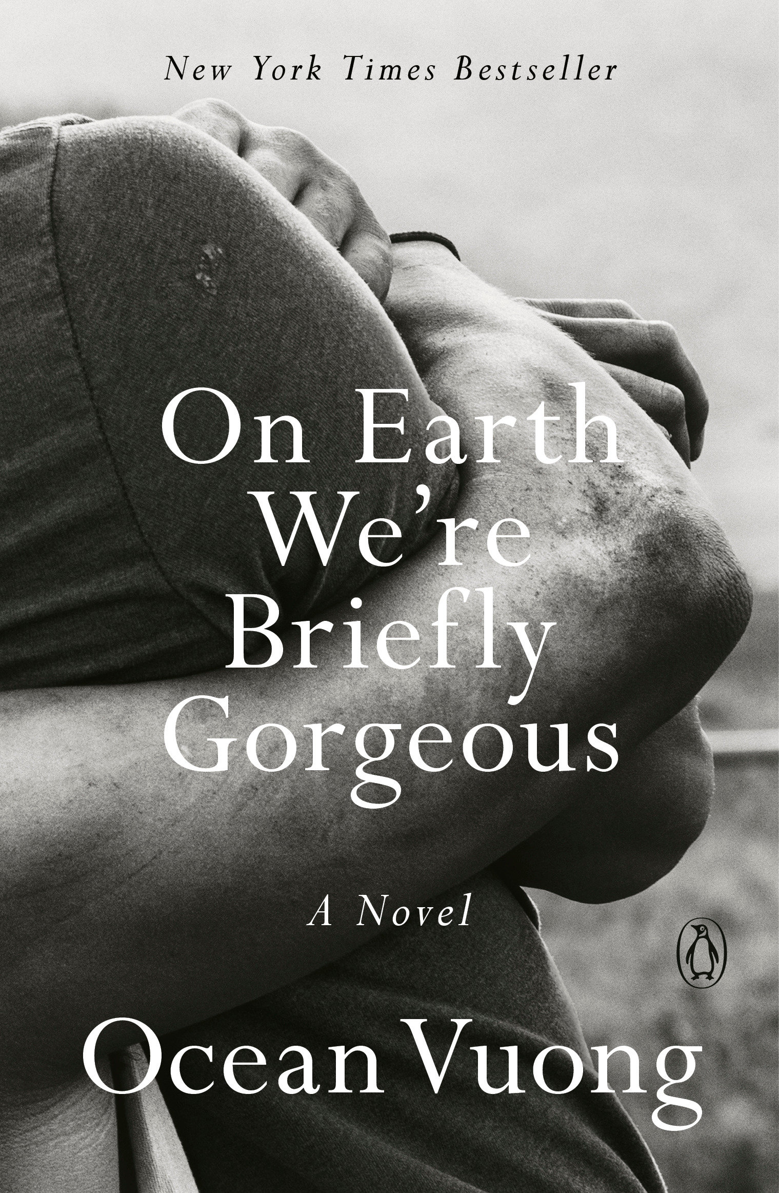 On Earth We're Briefly Gorgeous A Novel