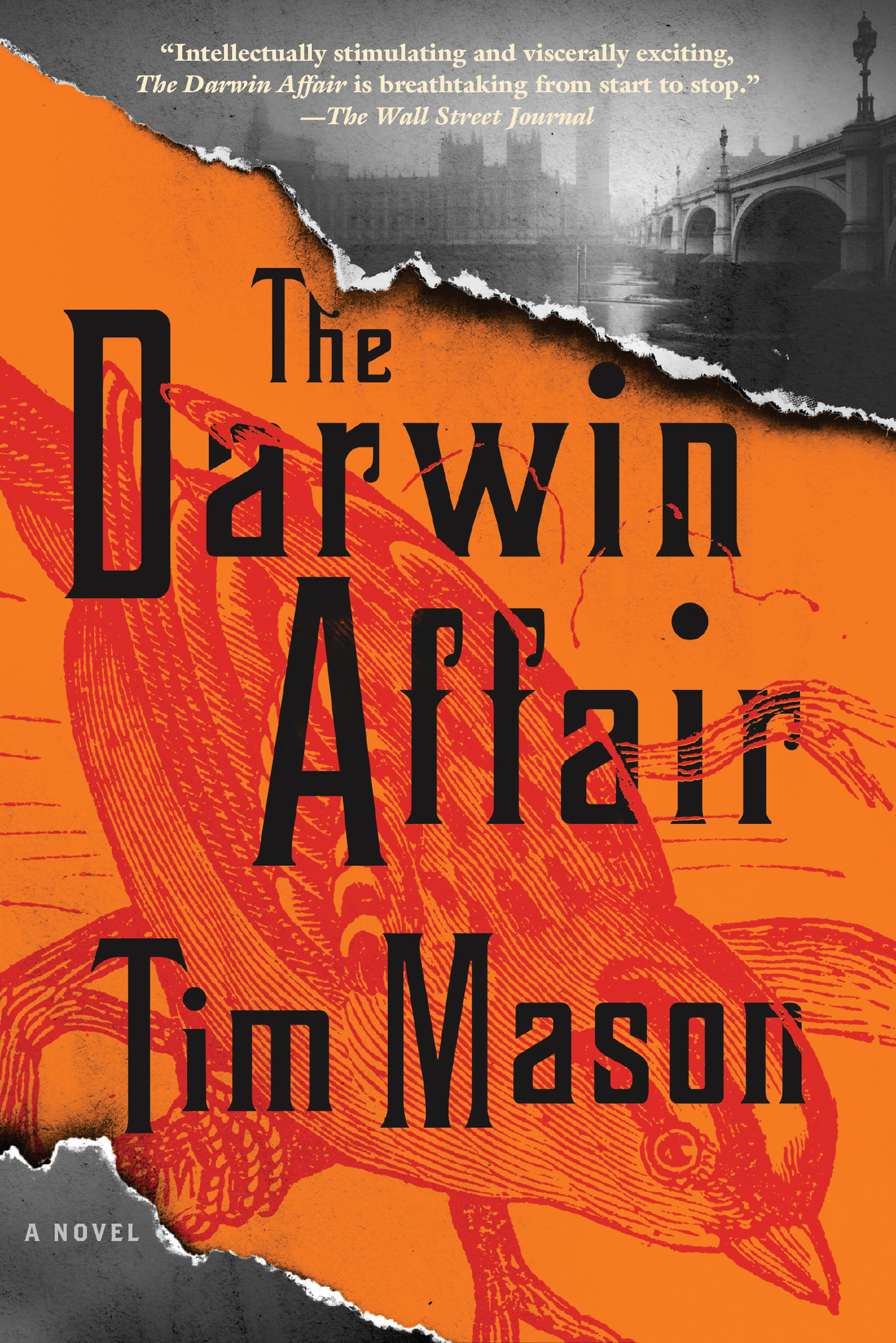 Imagen de portada para The Darwin Affair [electronic resource] : A Novel