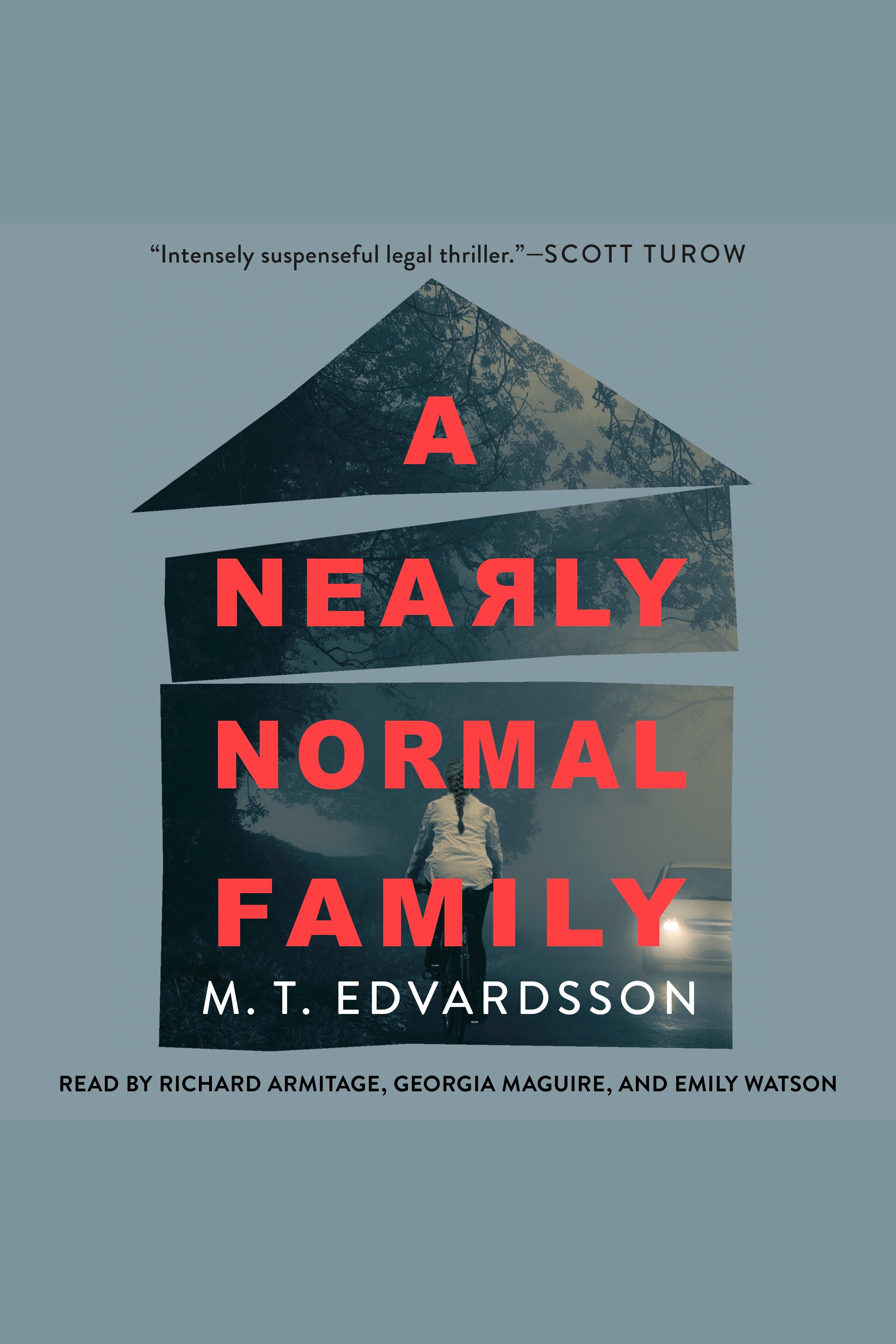 Cover image for Nearly Normal Family, A [electronic resource] : A Novel