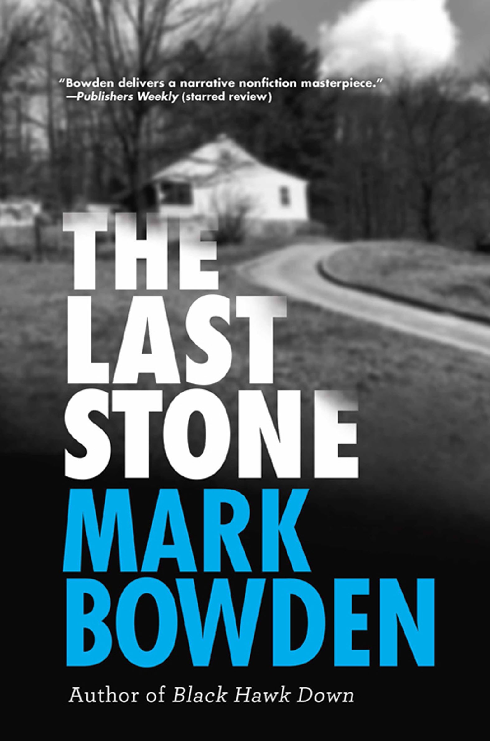 Cover image for The Last Stone [electronic resource] :