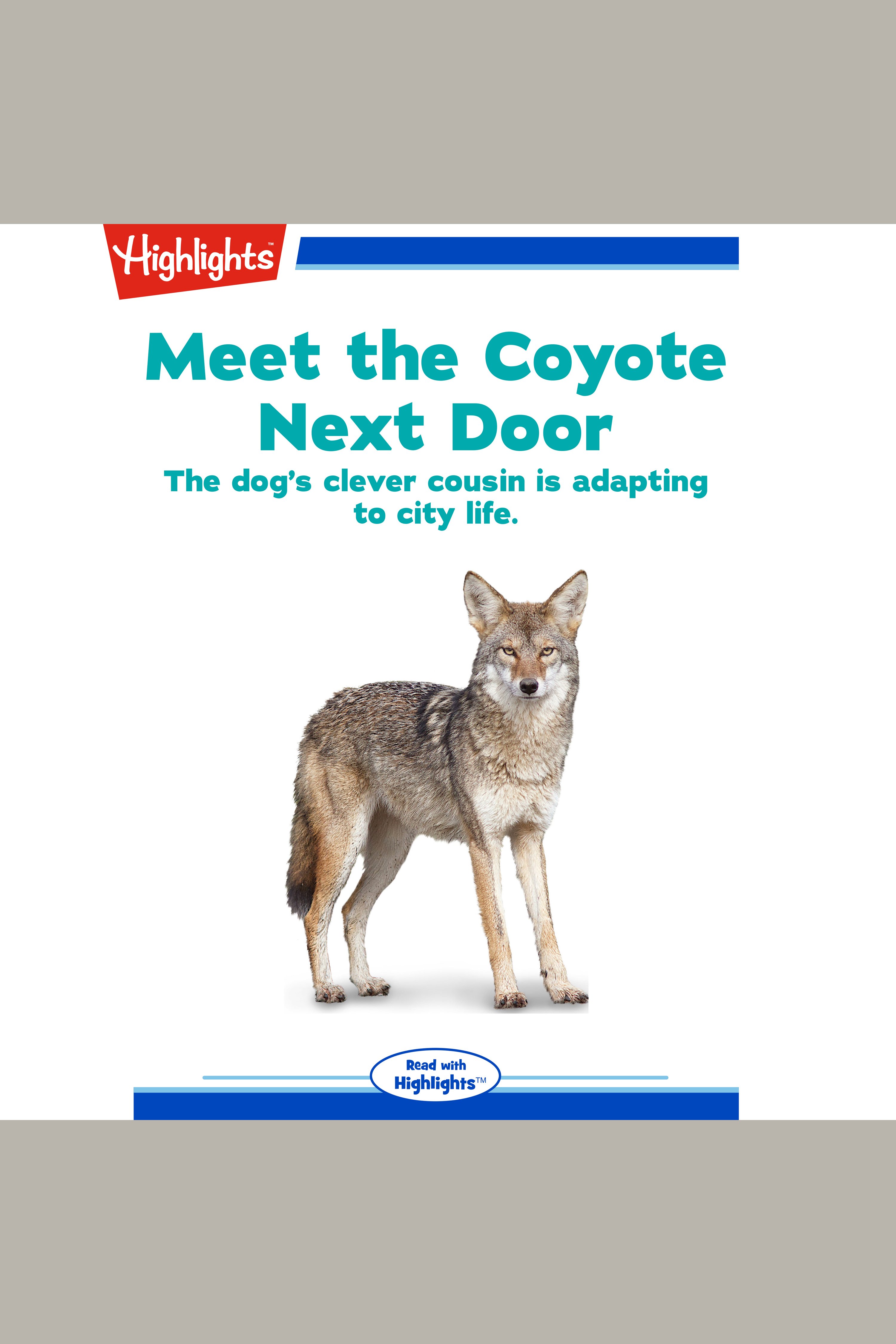 Meet the Coyote Next Door