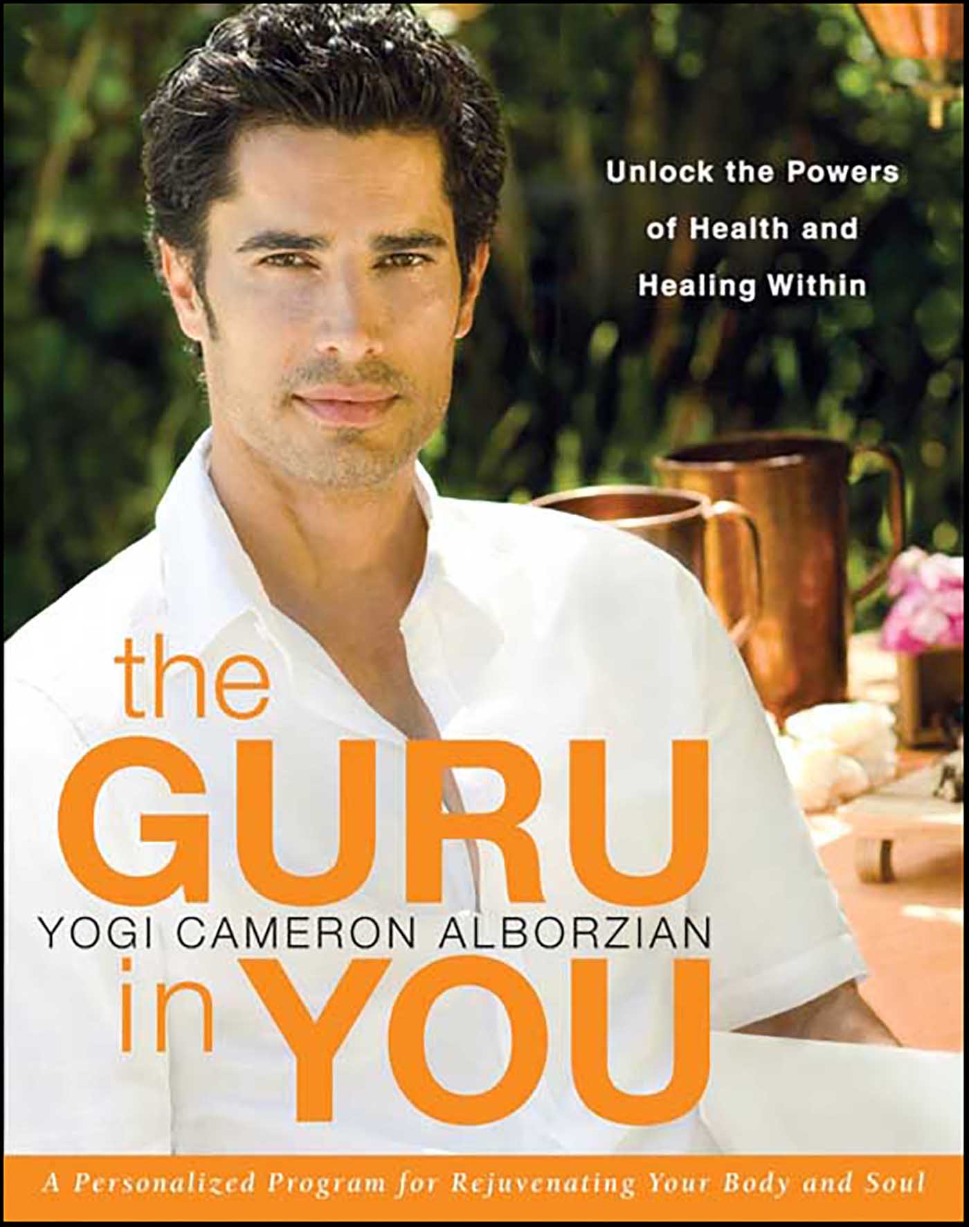 The guru in youl cover image