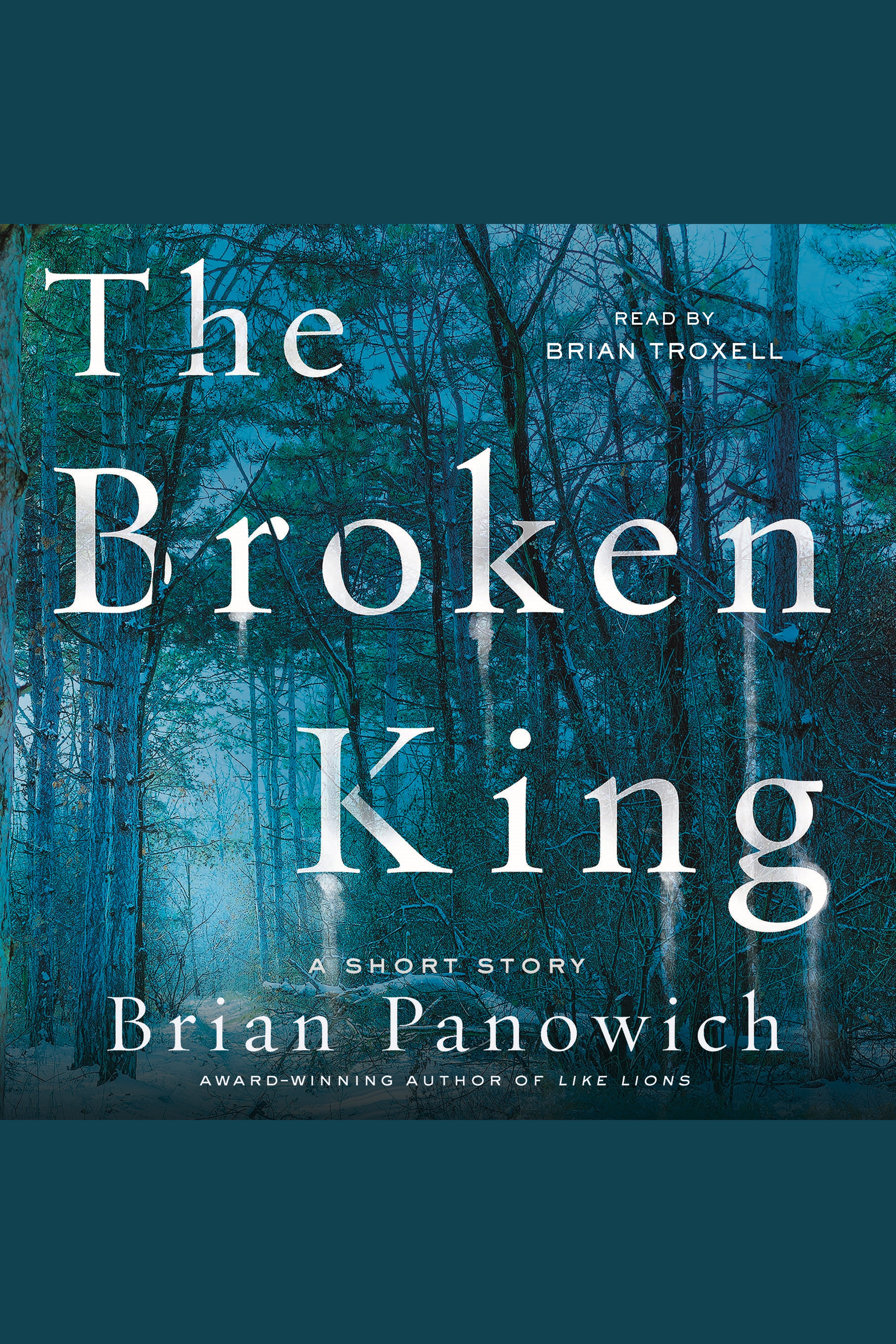 Cover image for The Broken King [electronic resource] :