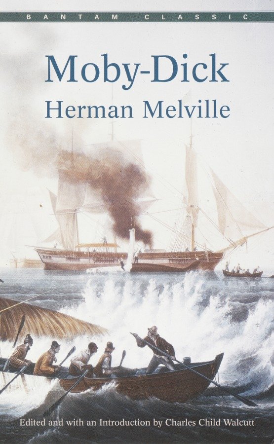Cover image for Moby-Dick [electronic resource] :