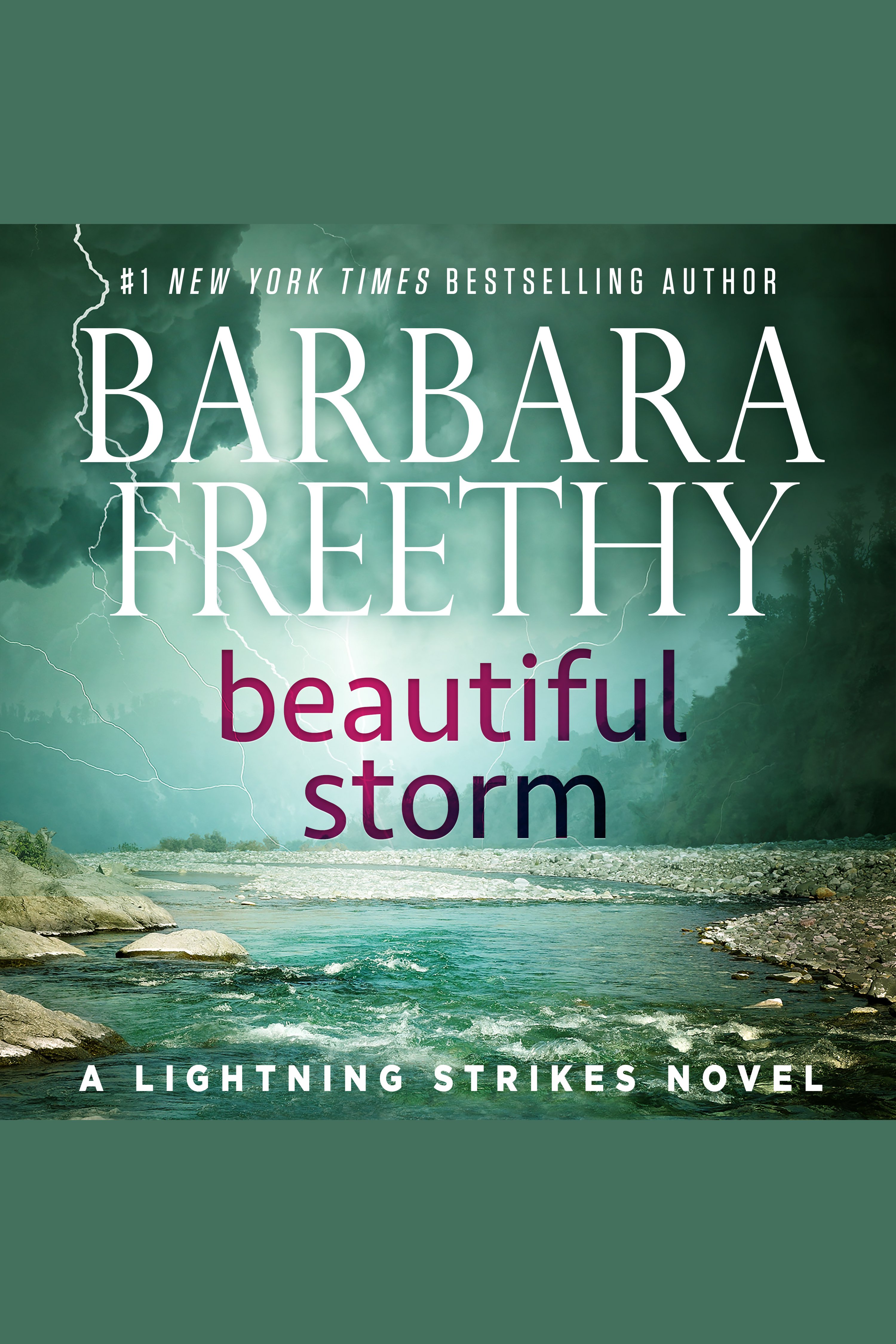 Cover image for Beautiful Storm [electronic resource] :