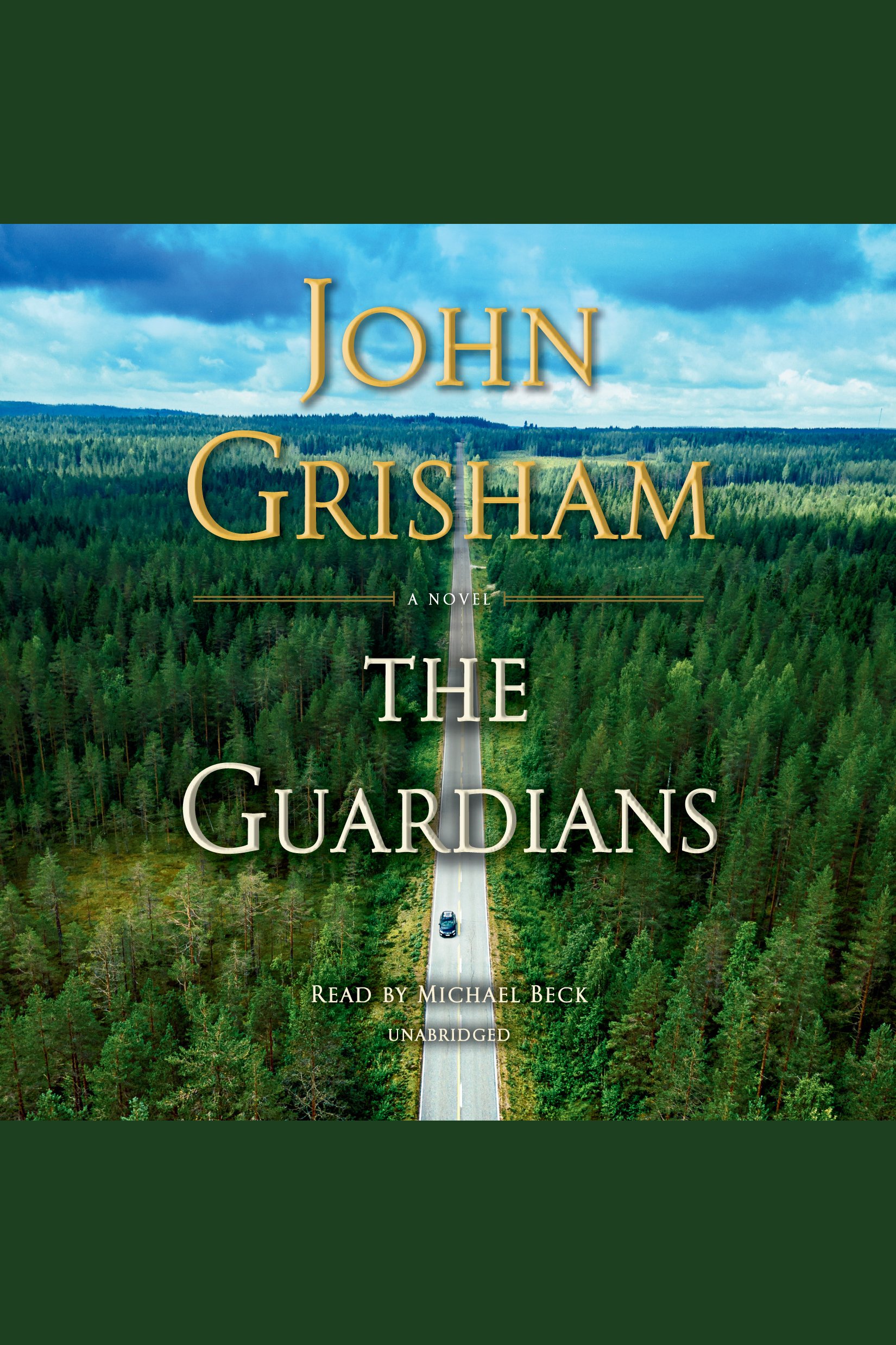 Image de couverture de The Guardians [electronic resource] : A Novel