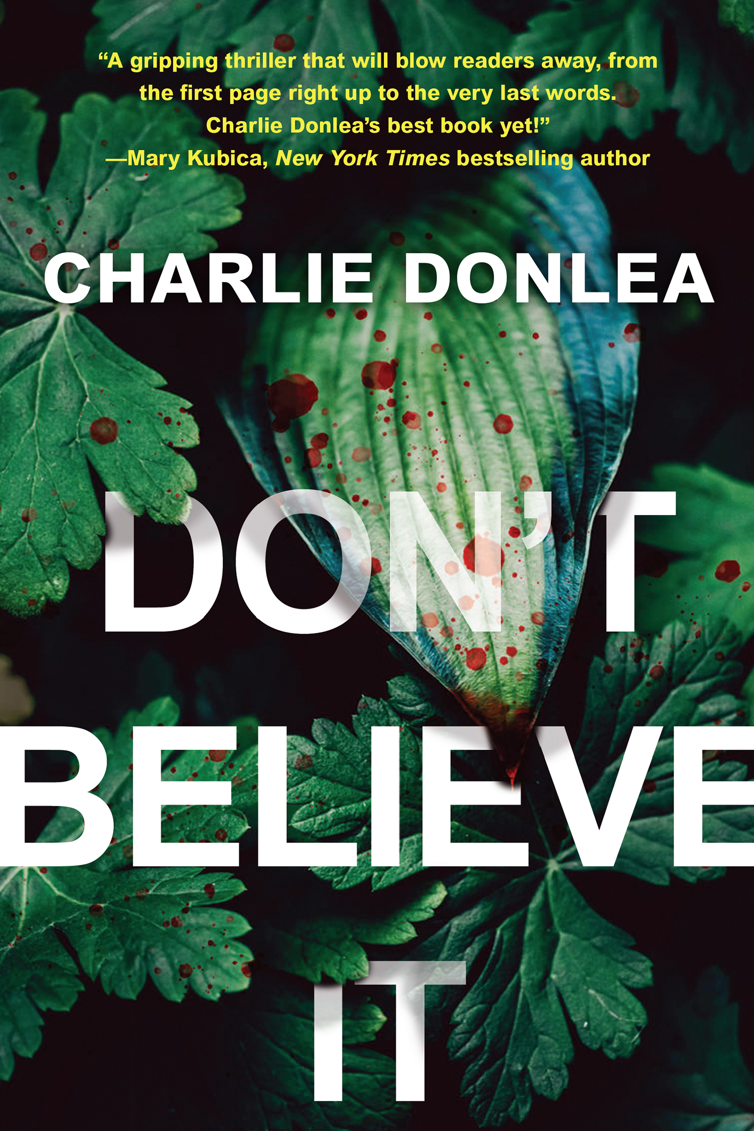 Don't believe it cover image