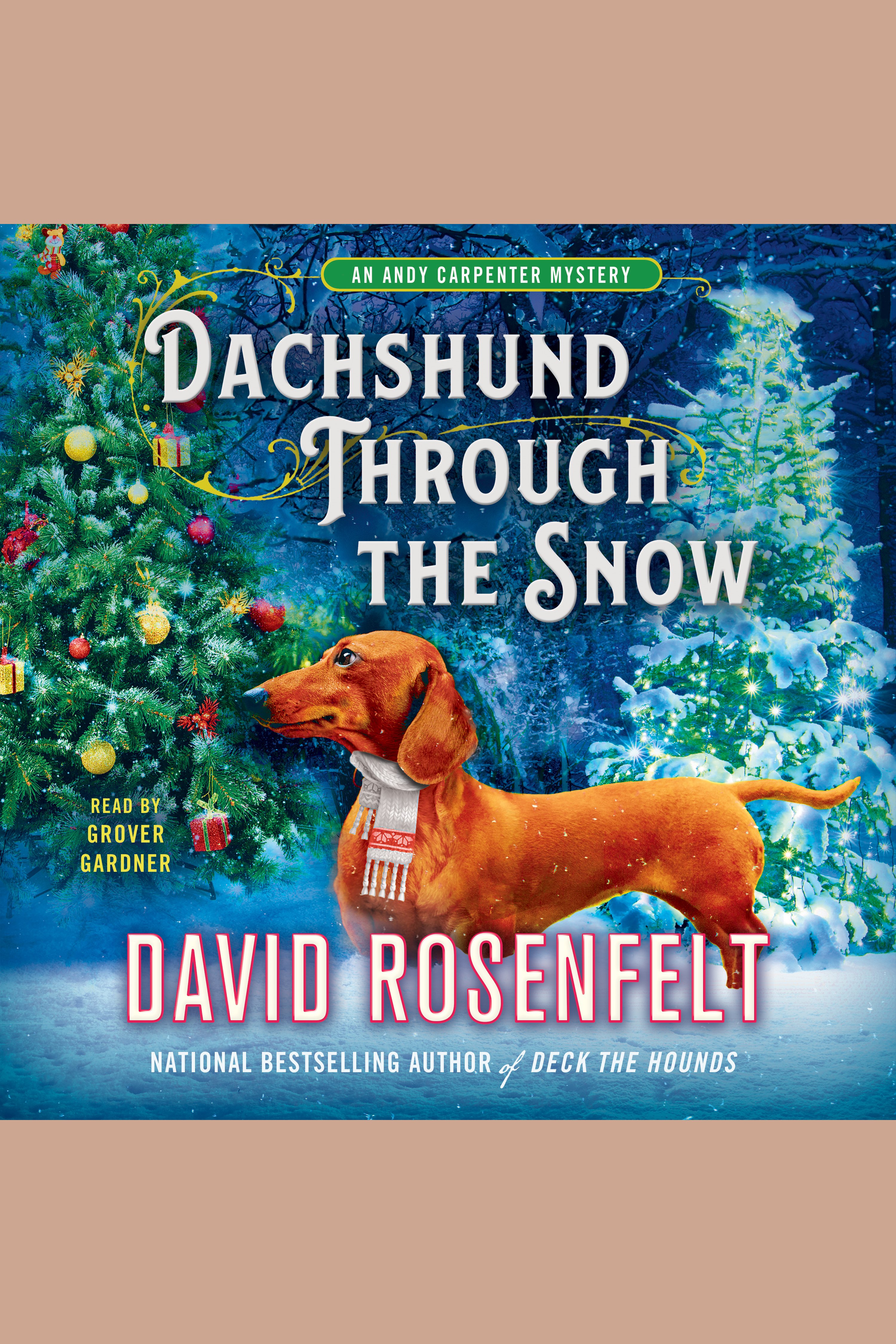 Dachshund through the snow cover image
