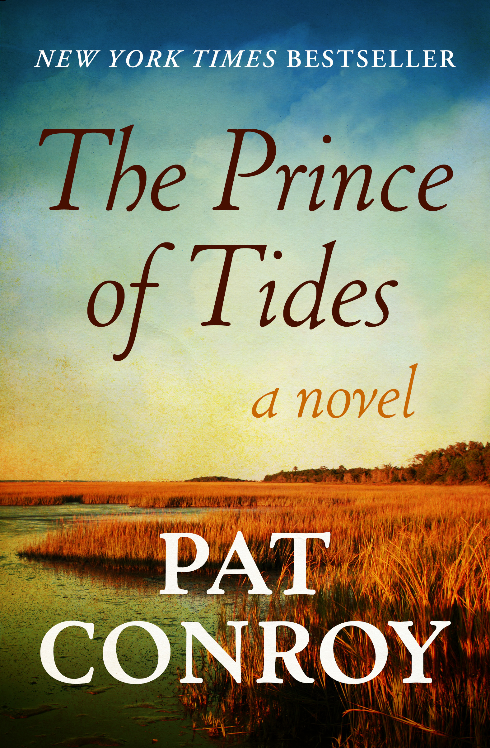The prince of tides cover image
