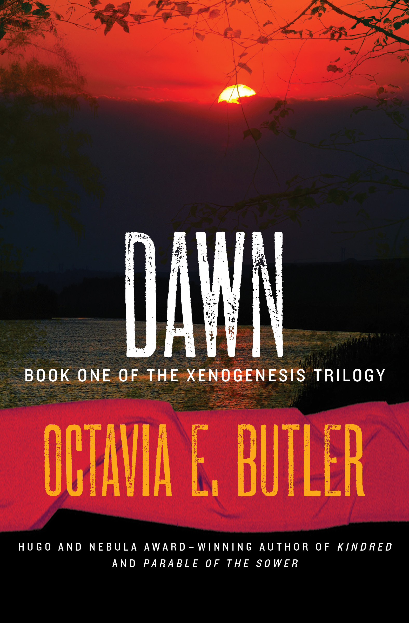 Dawn cover image