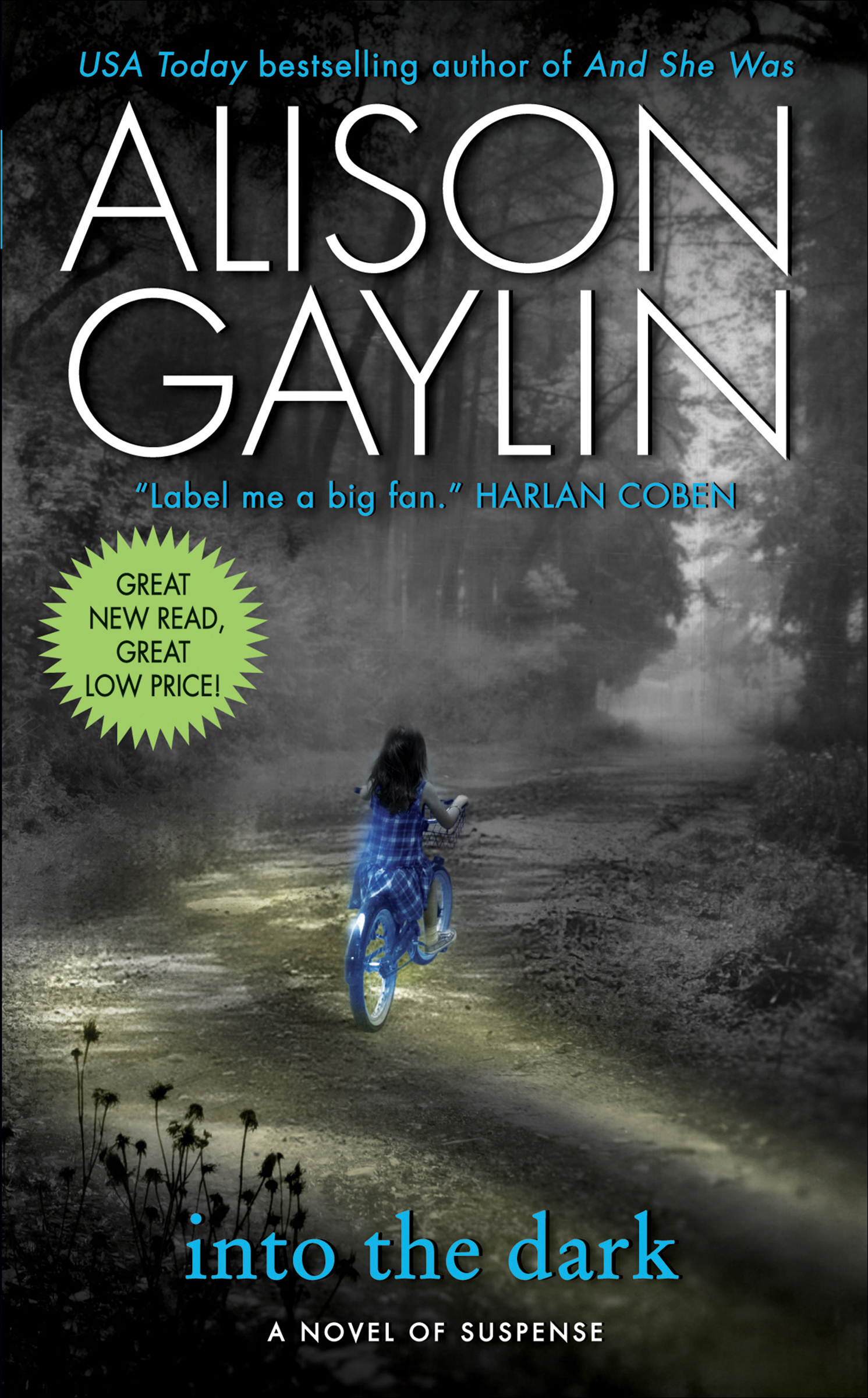 Image de couverture de Into the Dark [electronic resource] : A Novel of Suspense