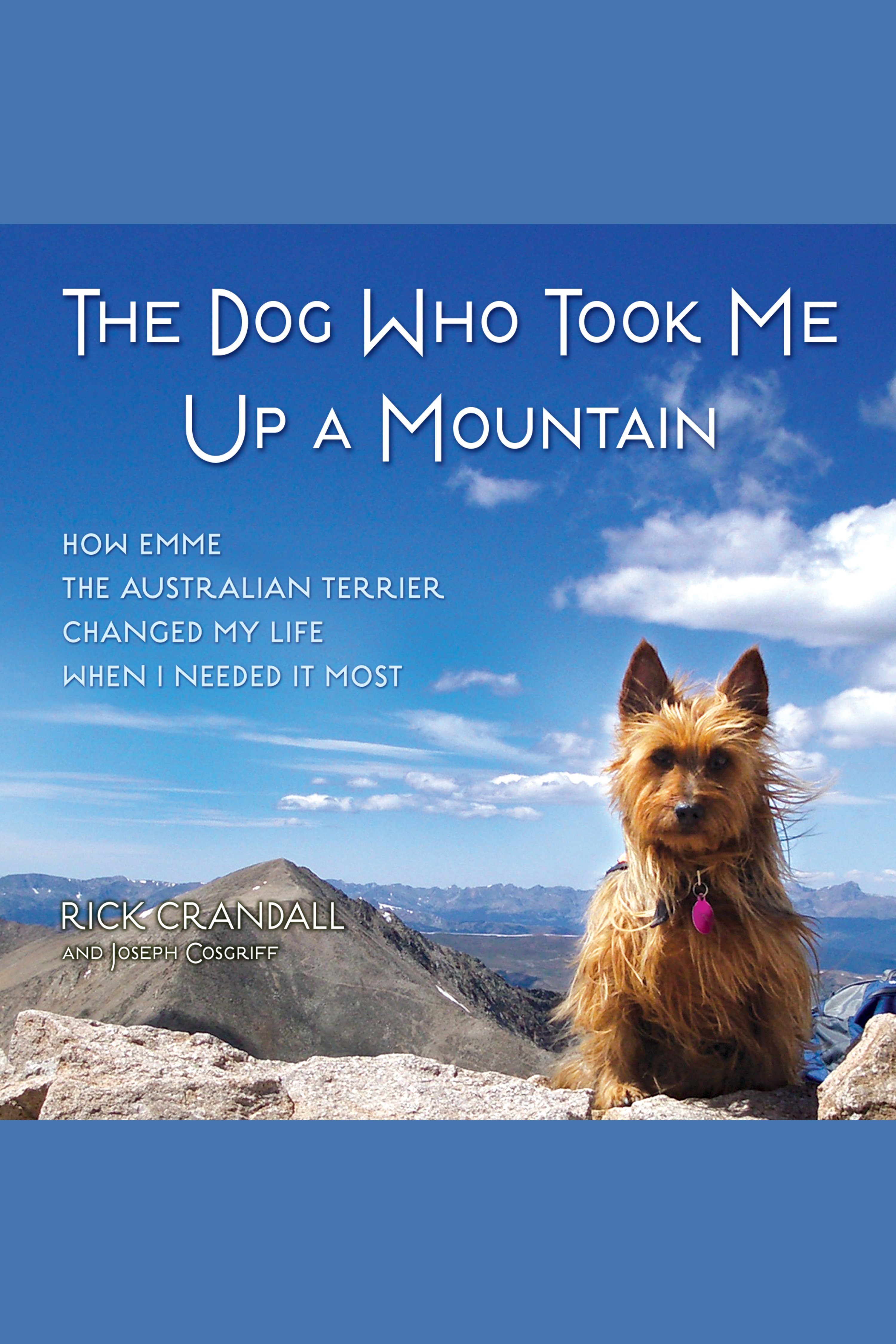 Image de couverture de The Dog Who Took Me Up a Mountain [electronic resource] :