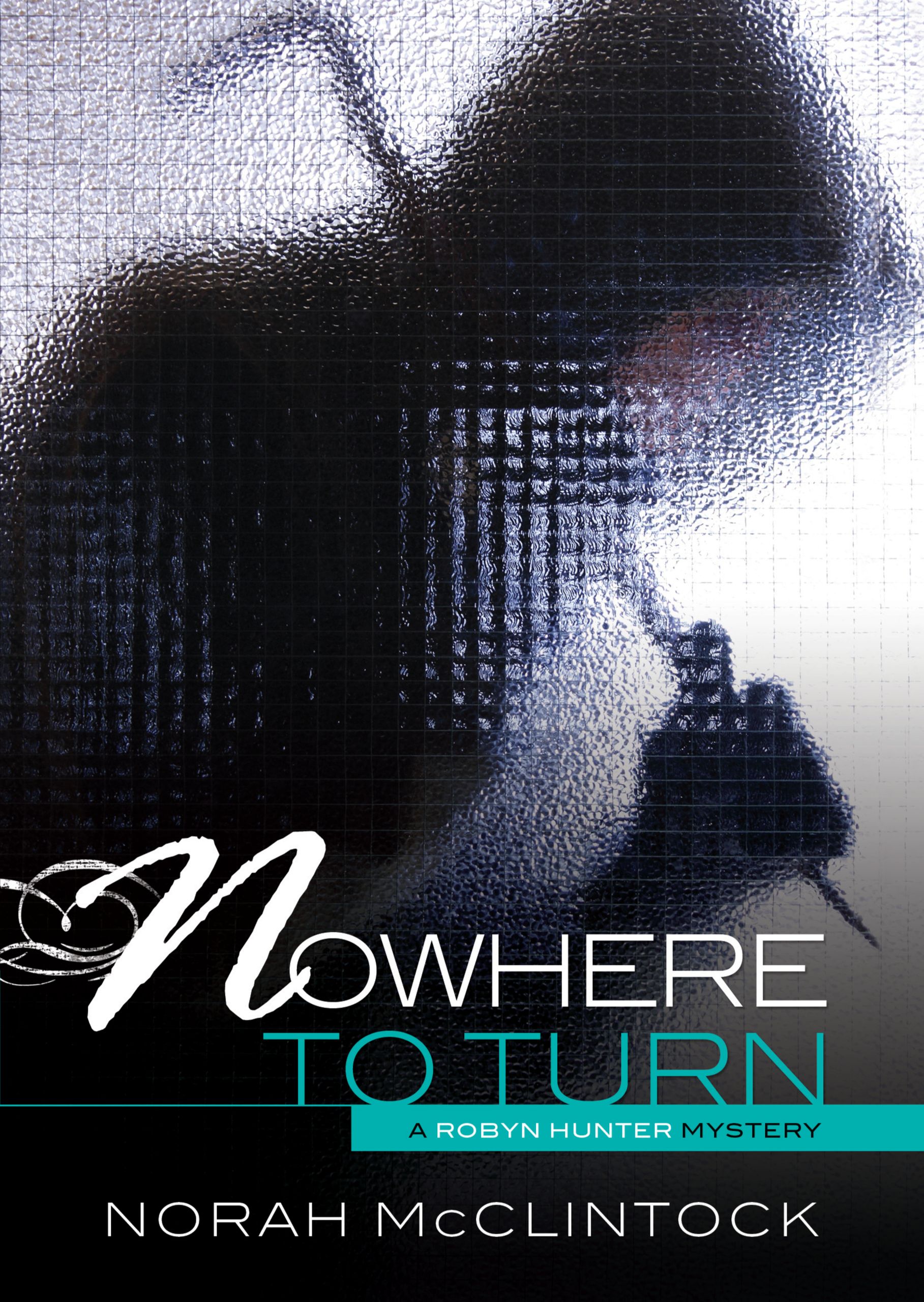 Cover image for #6 Nowhere to Turn [electronic resource] :