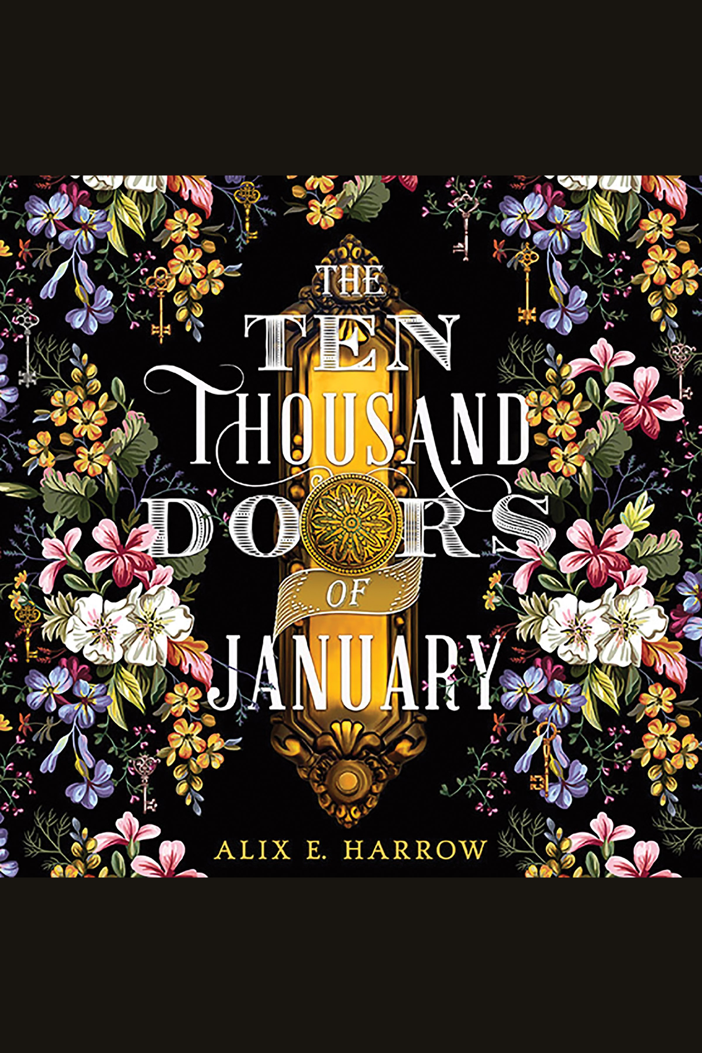 Cover image for The Ten Thousand Doors of January [electronic resource] :