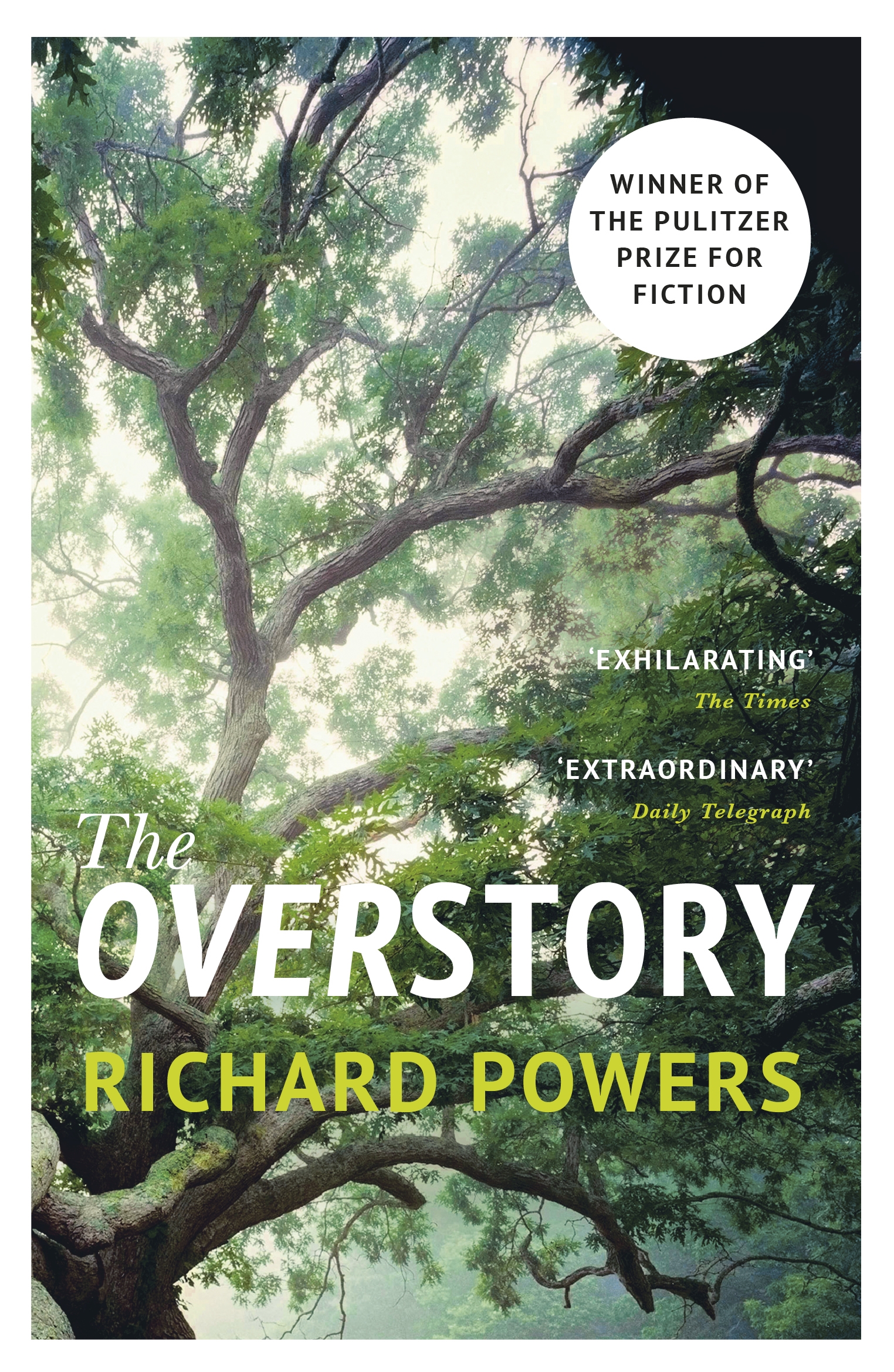 The overstory - Lectuur die verplicht zou moeten zijn
