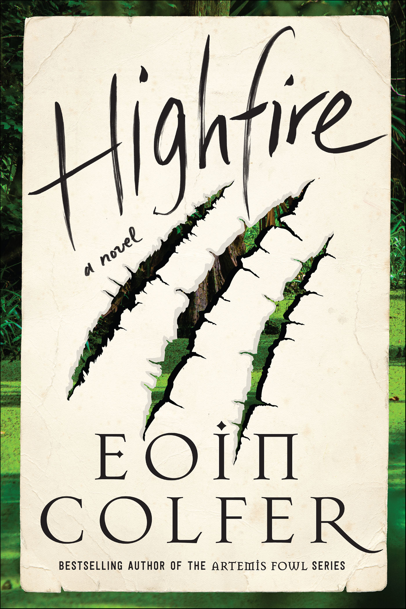 Cover image for Highfire [electronic resource] : A Novel