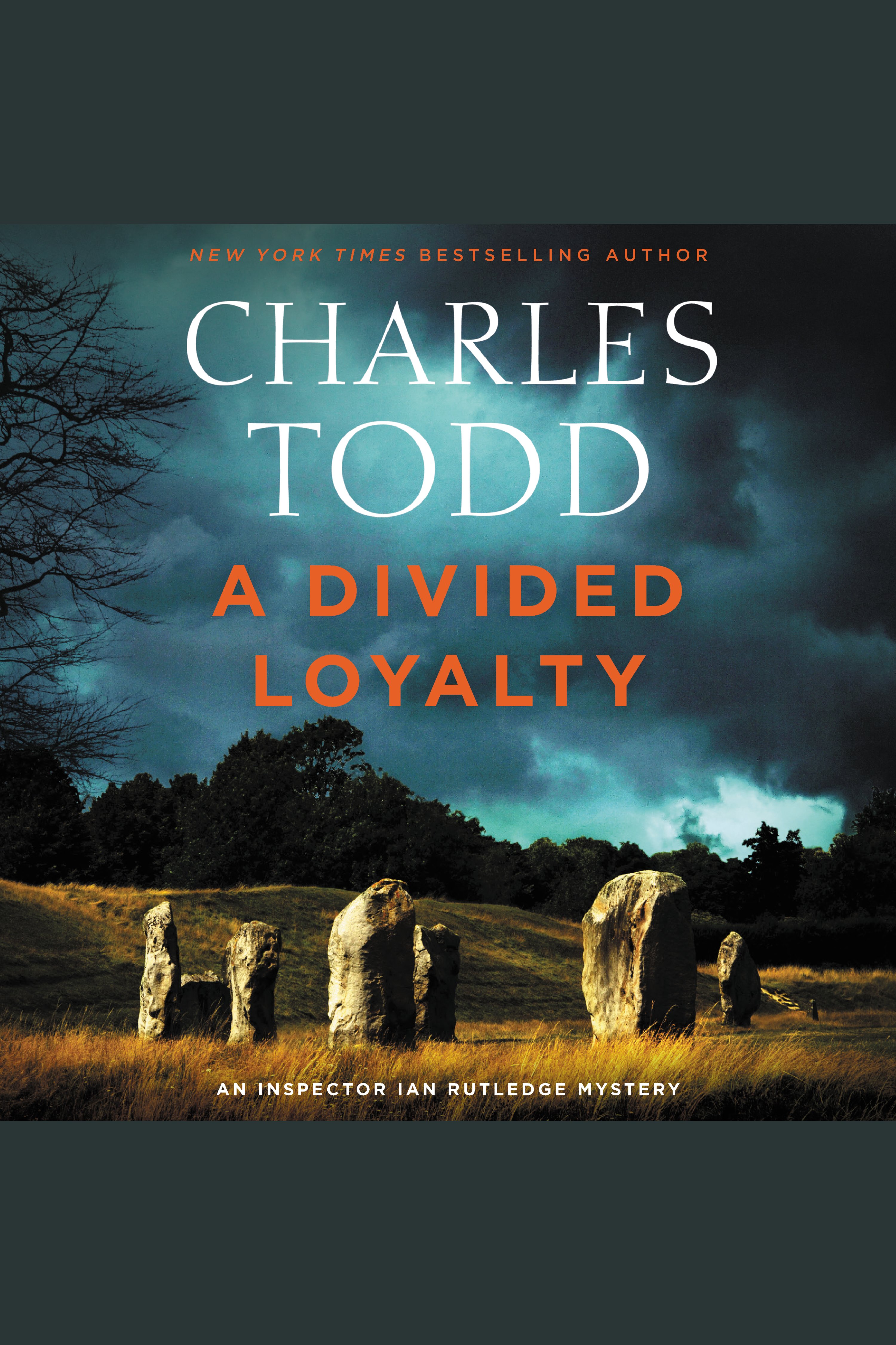 Cover image for Divided Loyalty, A [electronic resource] : A Novel