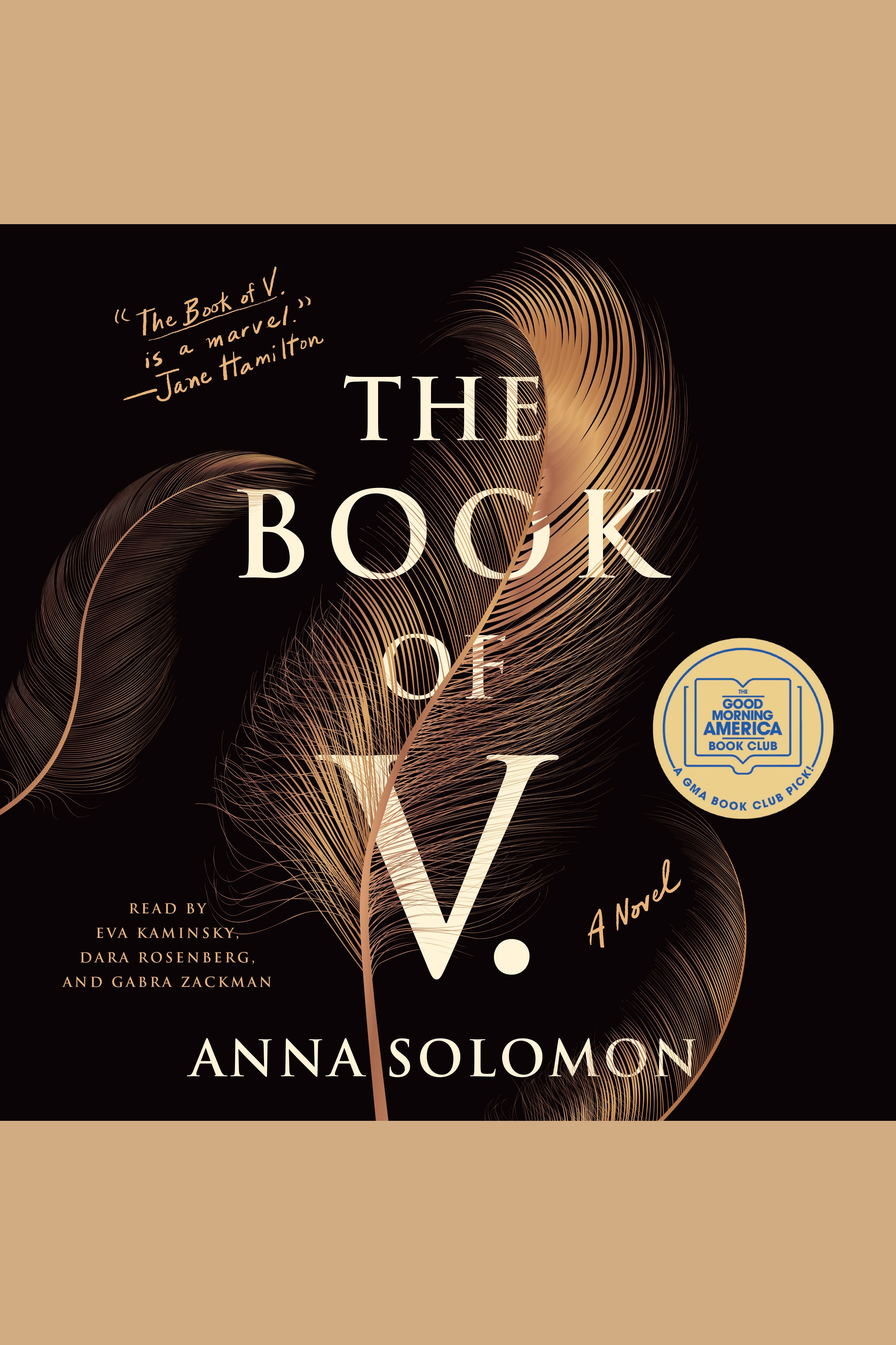 Cover image for Book of V., The [electronic resource] : A Novel