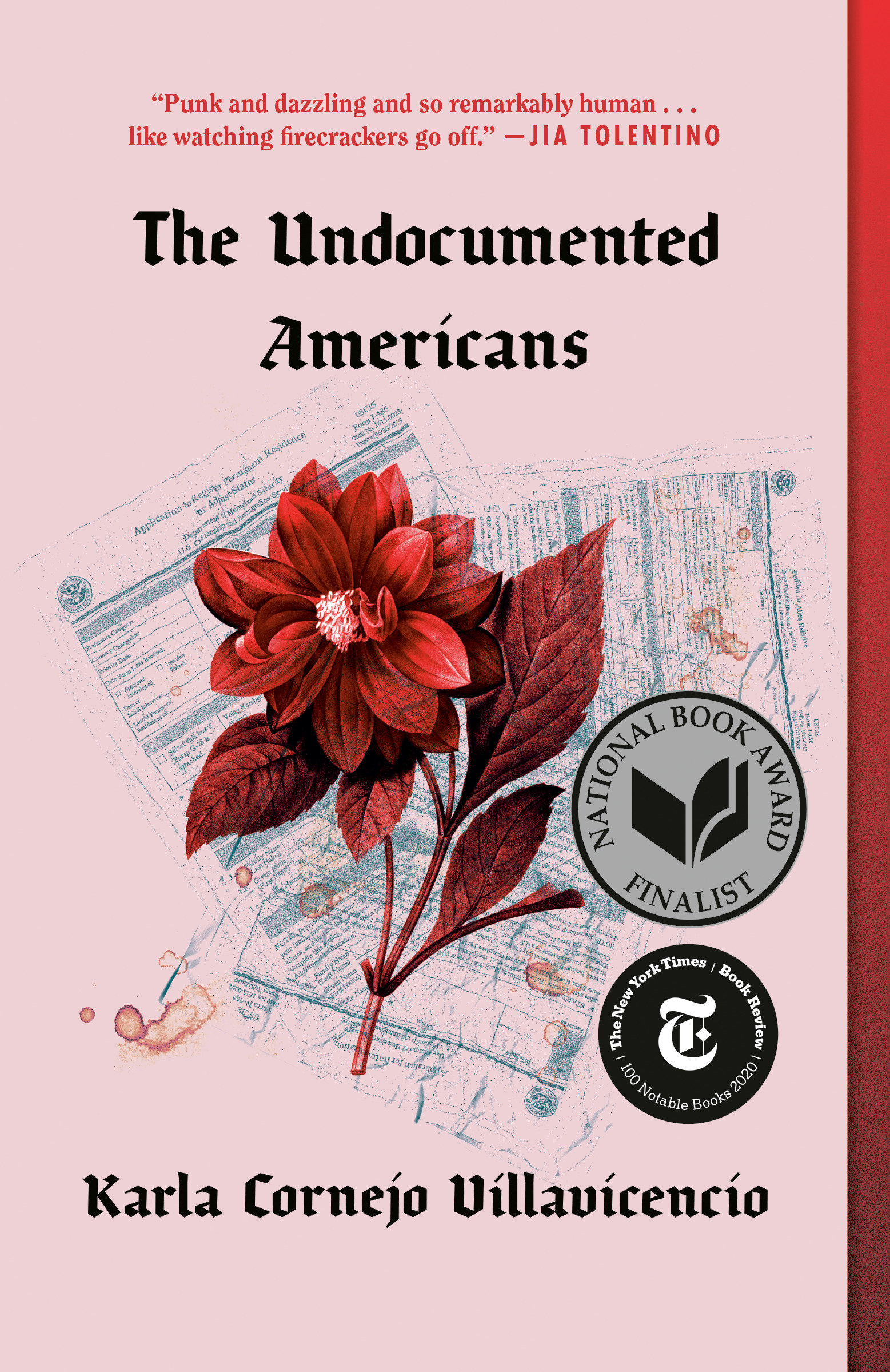 The undocumented Americans