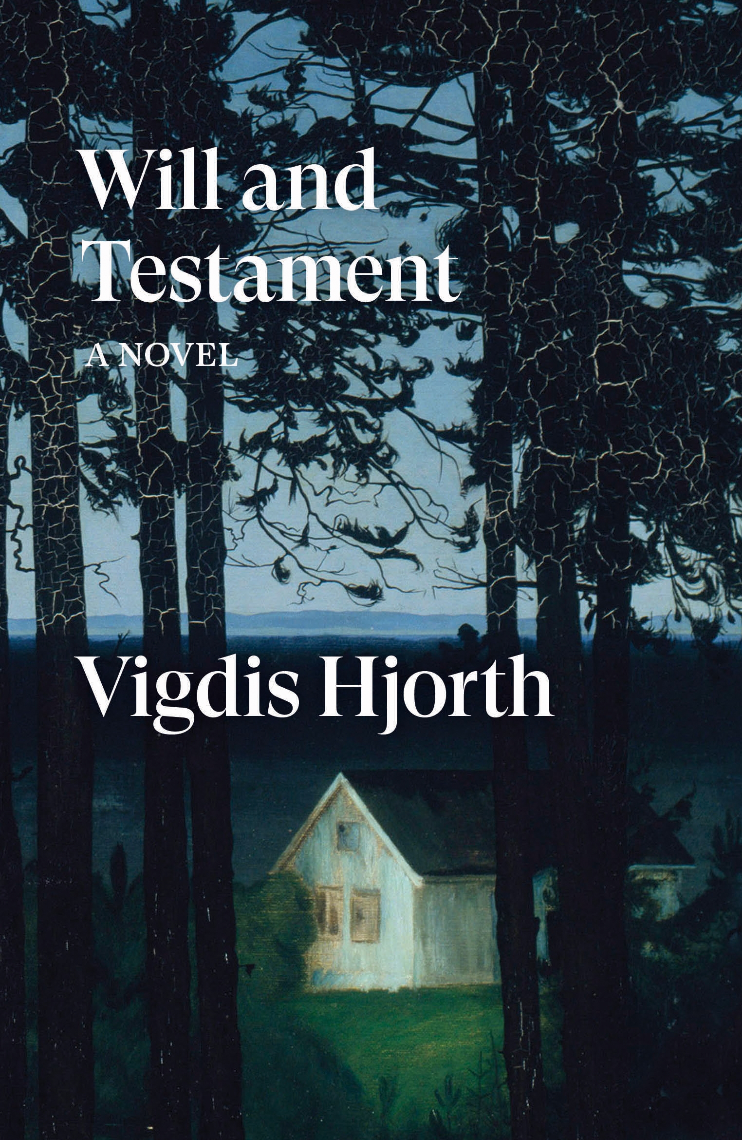 Will and testament : a novel