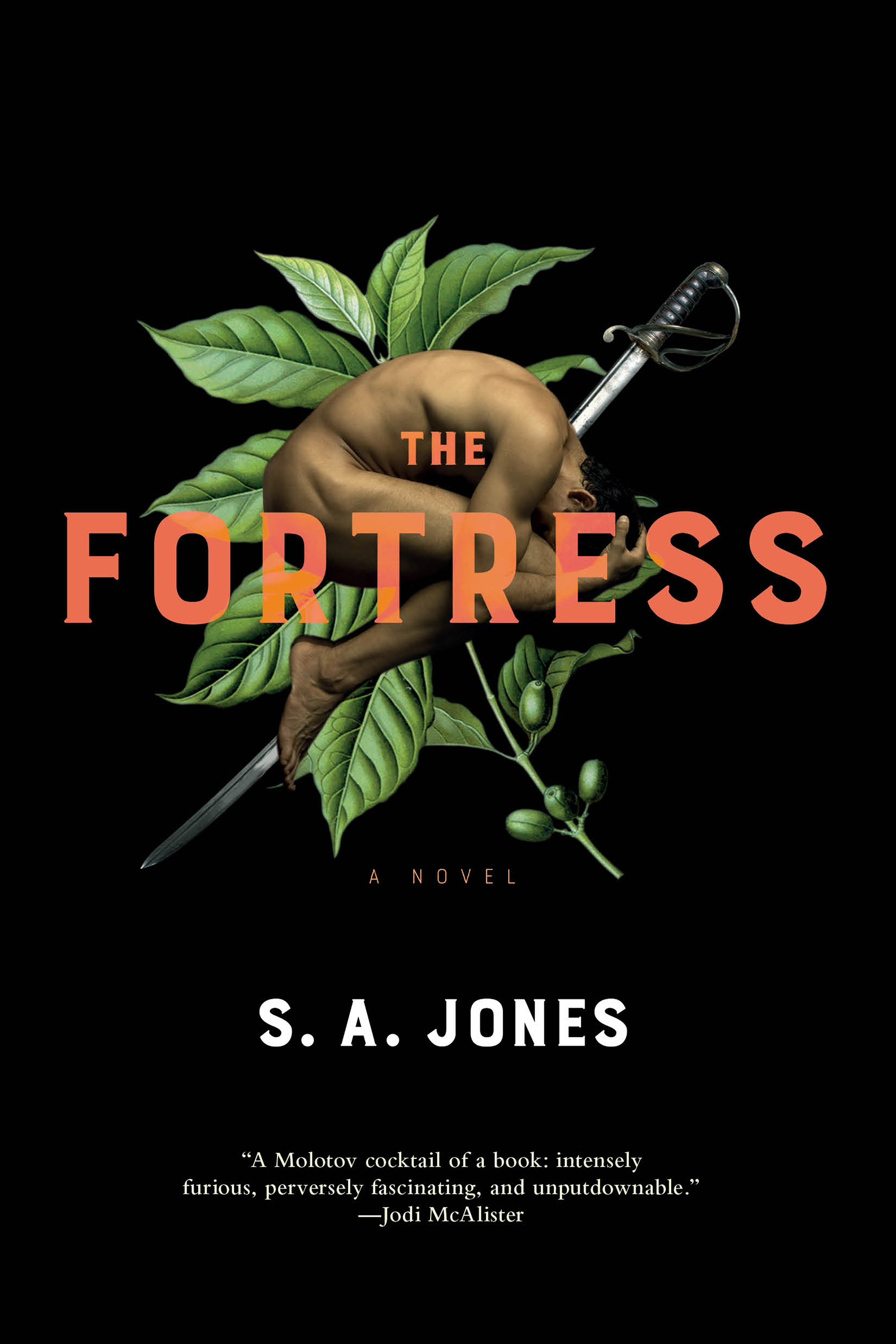 The Fortress cover image